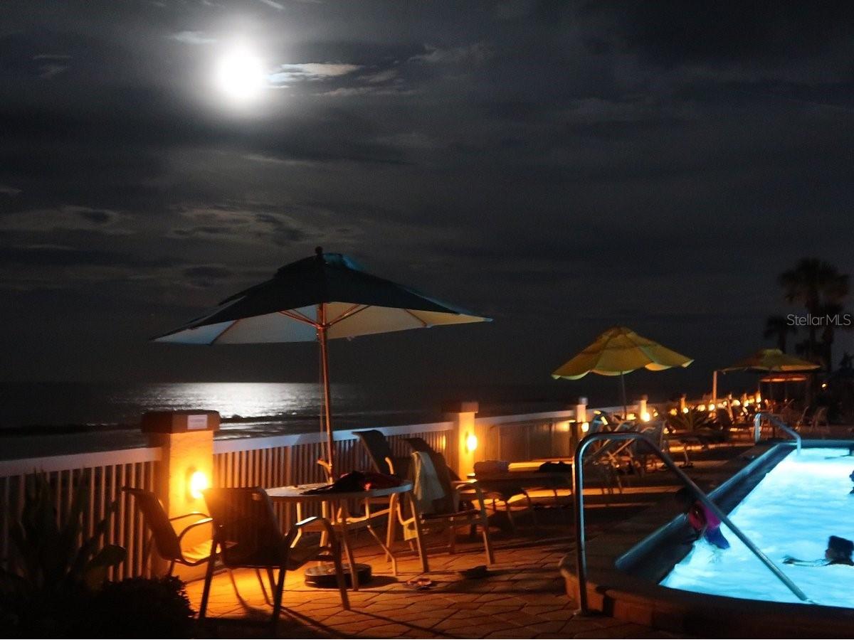 2700 N Atlantic Avenue #711 Daytona Beach FL 32118 V4949562 image23