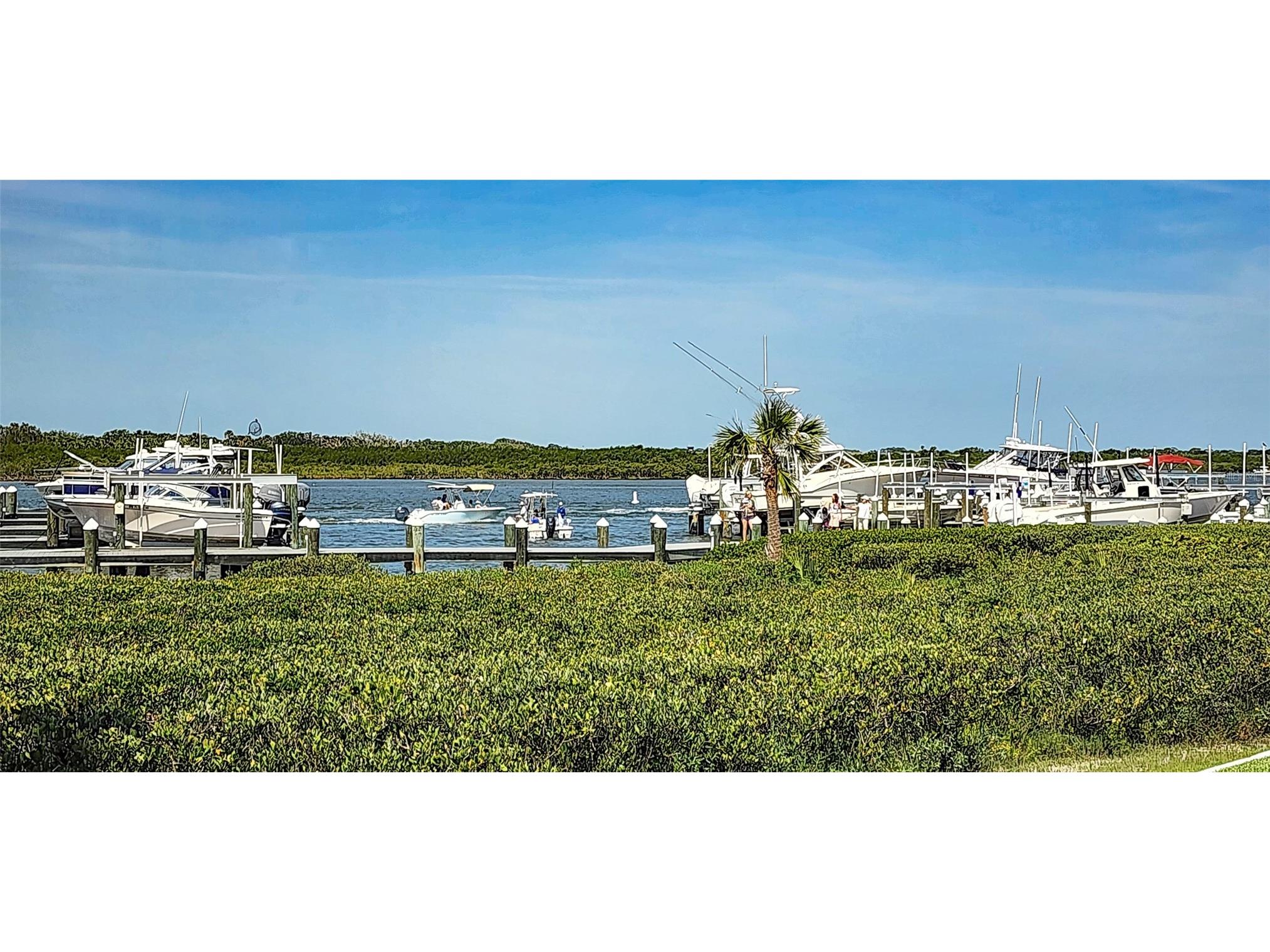 2700 N Peninsula Avenue #113 New Smyrna Beach FL 32169 - INDIAN RIVER & ATLANTIC OCEAN NS1084165 image11