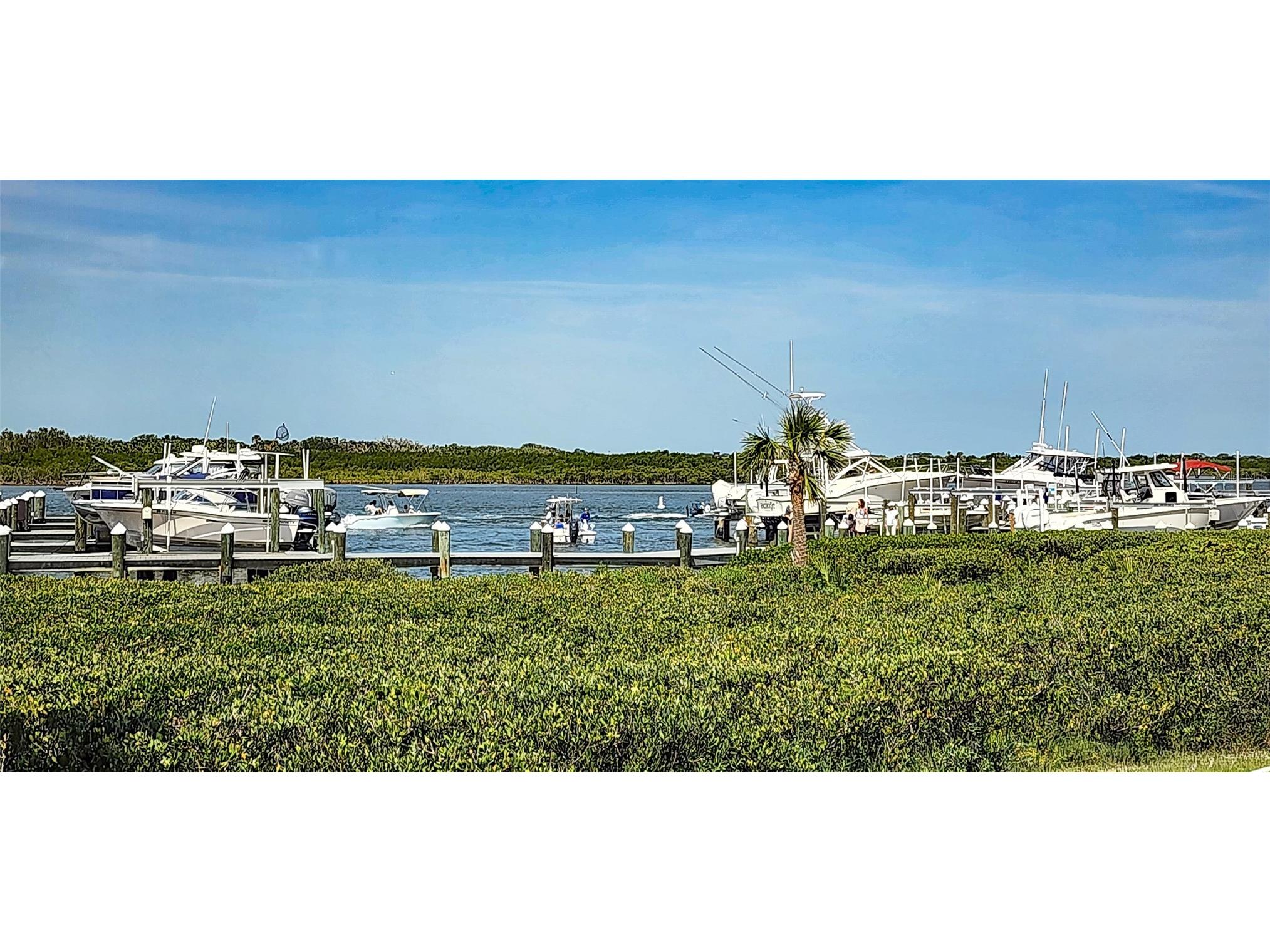 2700 N Peninsula Avenue #113 New Smyrna Beach FL 32169 - INDIAN RIVER & ATLANTIC OCEAN NS1084165 image71