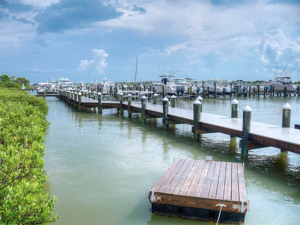 2700 N Peninsula Avenue #114 New Smyrna Beach FL 32169 NS1084340 image38