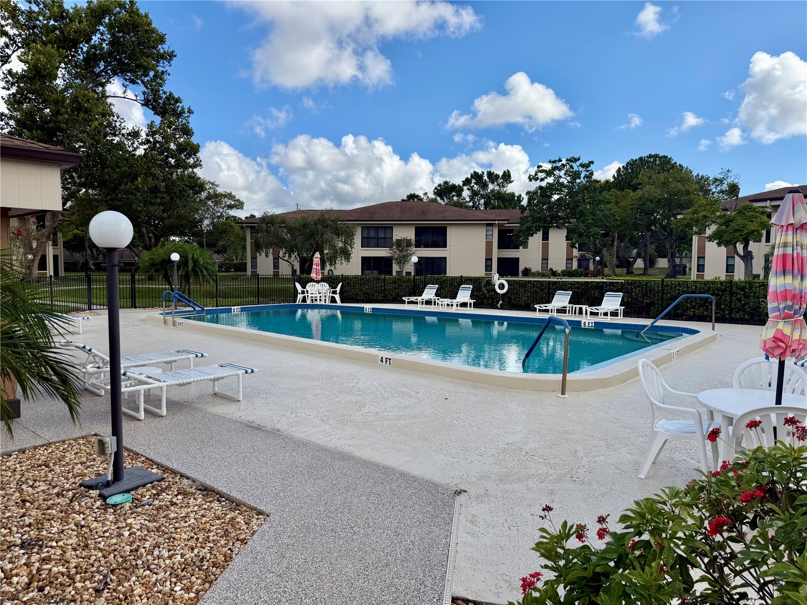 2700 Nebraska Avenue #1-106 Palm Harbor FL 34684 TB8518751 image7