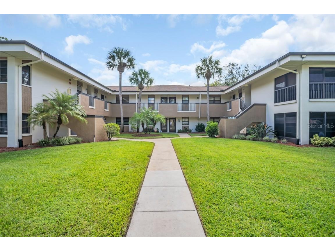2700 Nebraska Avenue #2-203 Palm Harbor FL 34684 TB8435306 image1