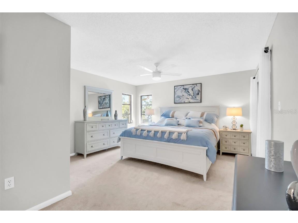 2700 Nebraska Avenue #2-203 Palm Harbor FL 34684 TB8435306 image19