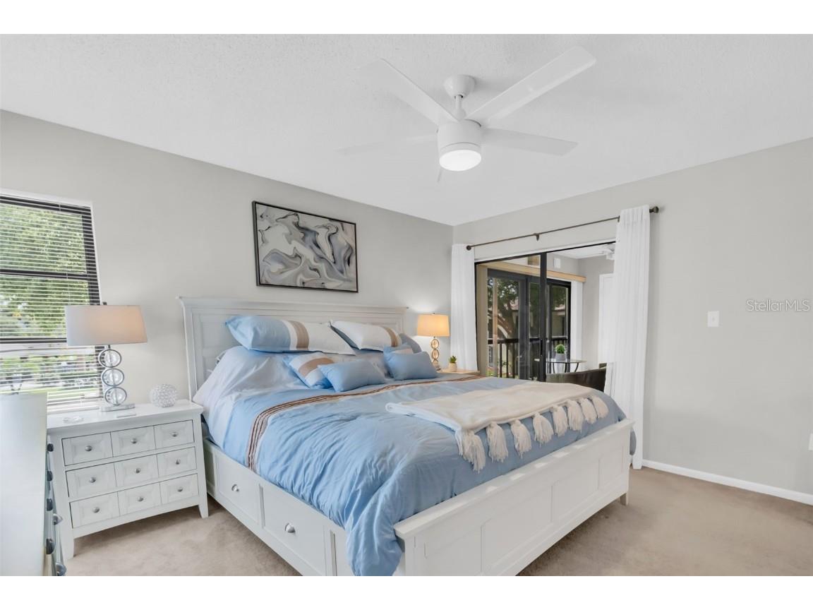 2700 Nebraska Avenue #2-203 Palm Harbor FL 34684 TB8435306 image20