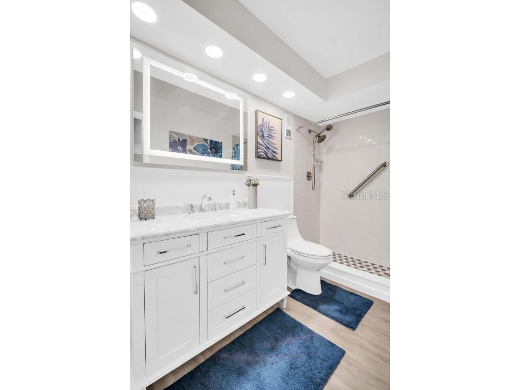 2700 Nebraska Avenue #2-203 Palm Harbor FL 34684 TB8435306 image27