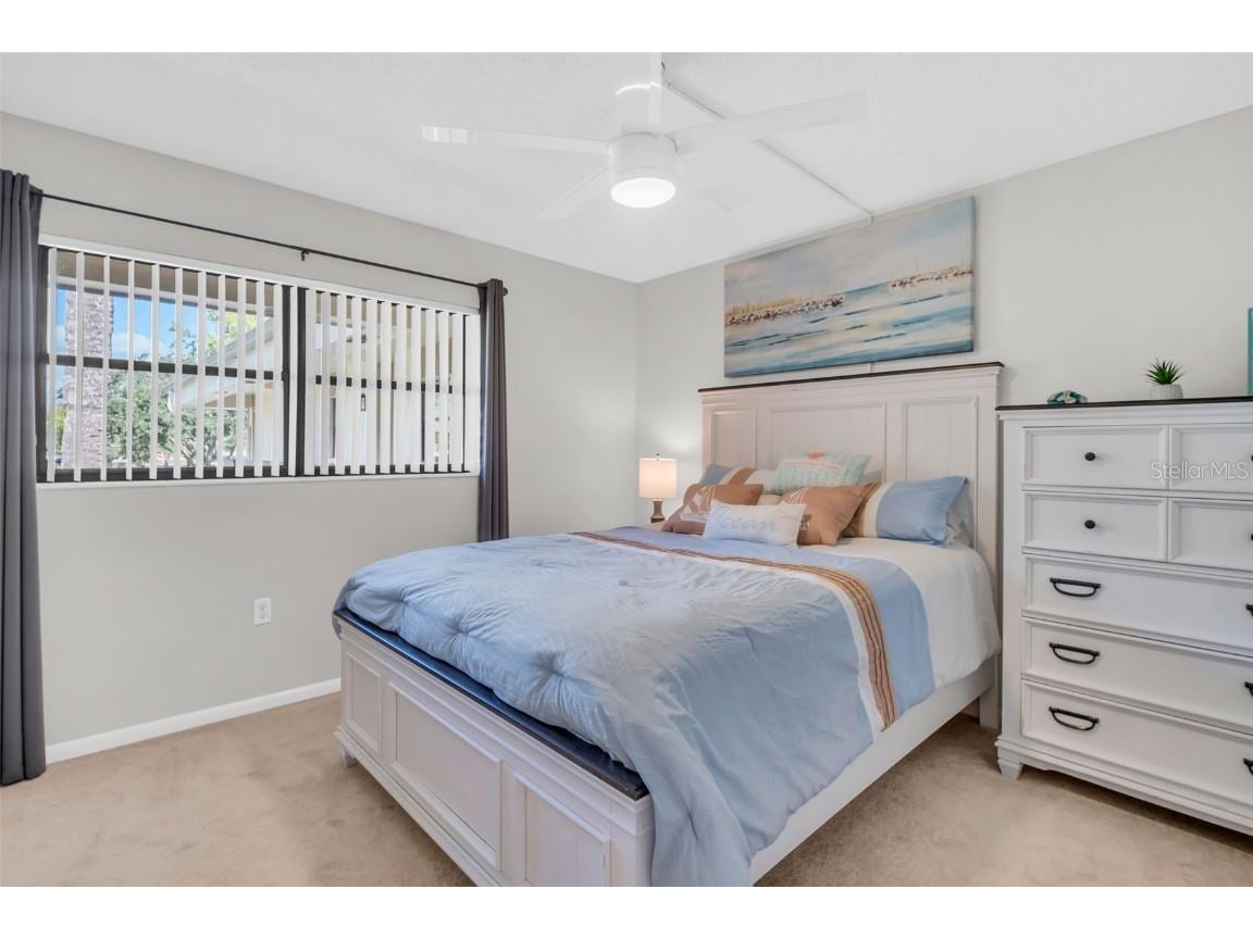 2700 Nebraska Avenue #2-203 Palm Harbor FL 34684 TB8435306 image28