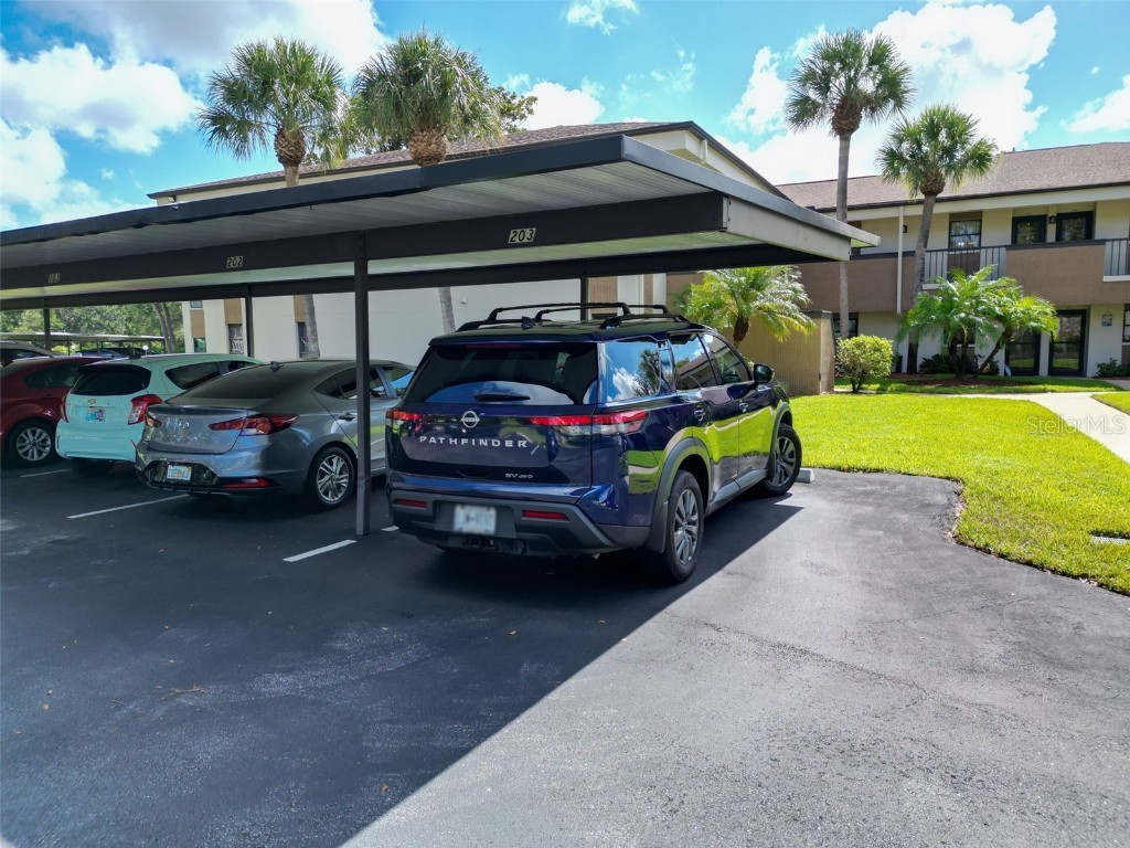 2700 Nebraska Avenue #2-203 Palm Harbor FL 34684 TB8435306 image35