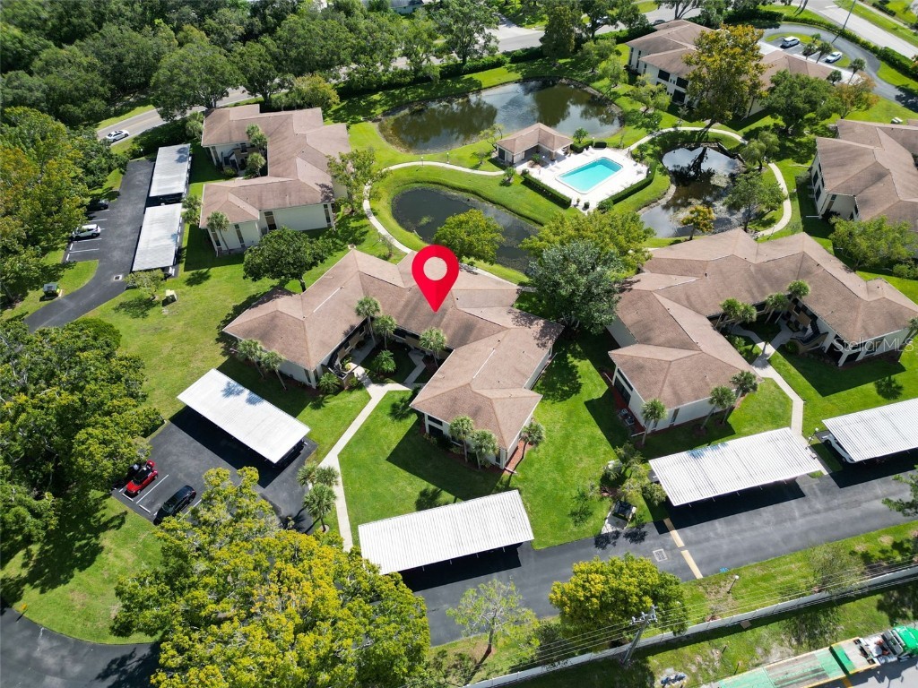 2700 Nebraska Avenue #2-203 Palm Harbor FL 34684 TB8435306 image40