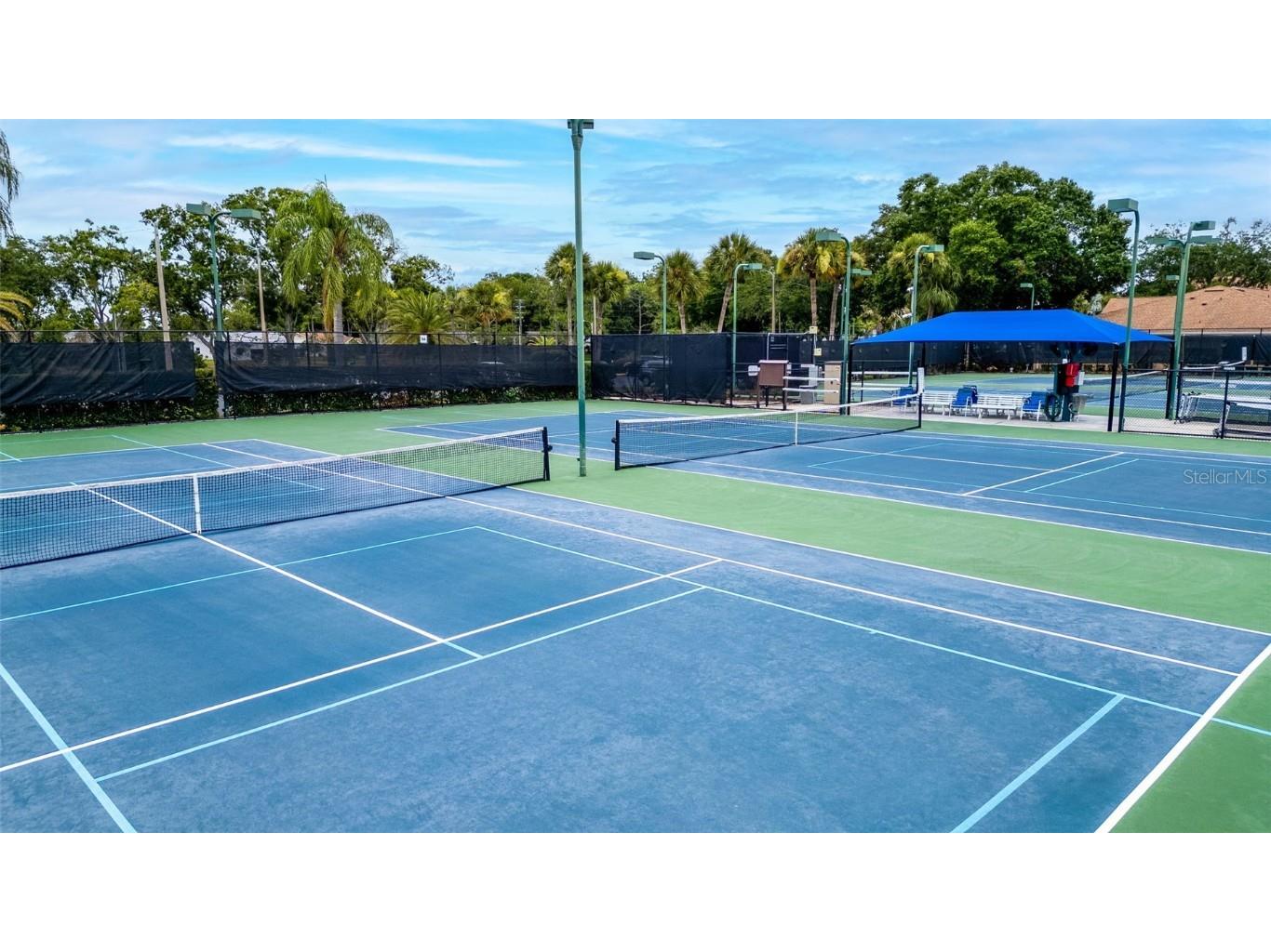 2700 Nebraska Avenue #2-203 Palm Harbor FL 34684 TB8435306 image43