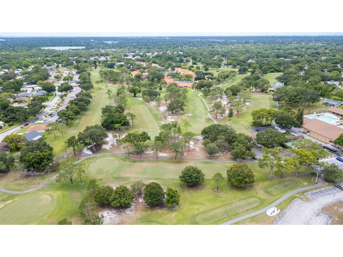 2700 Nebraska Avenue #2-203 Palm Harbor FL 34684 TB8435306 image45