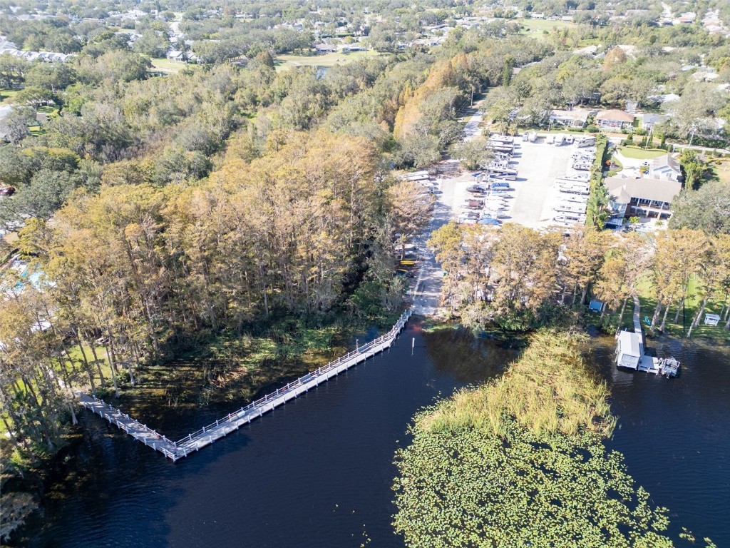 2700 Nebraska Avenue #2-203 Palm Harbor FL 34684 TB8435306 image51