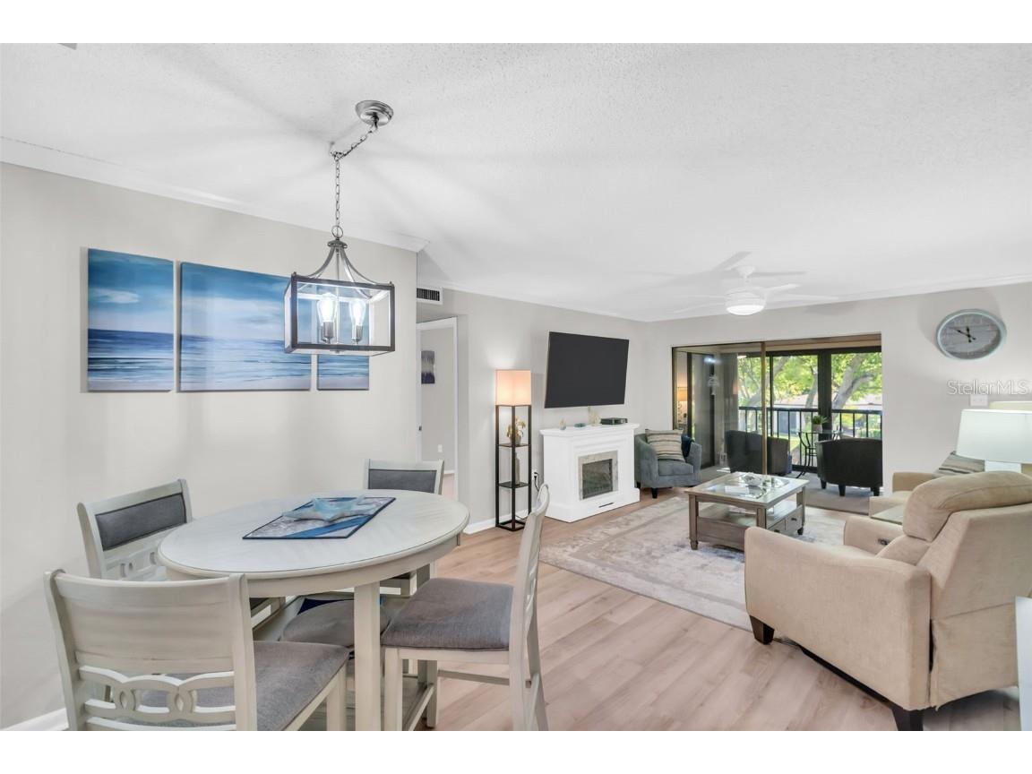 2700 Nebraska Avenue #2-203 Palm Harbor FL 34684 TB8435306 image9