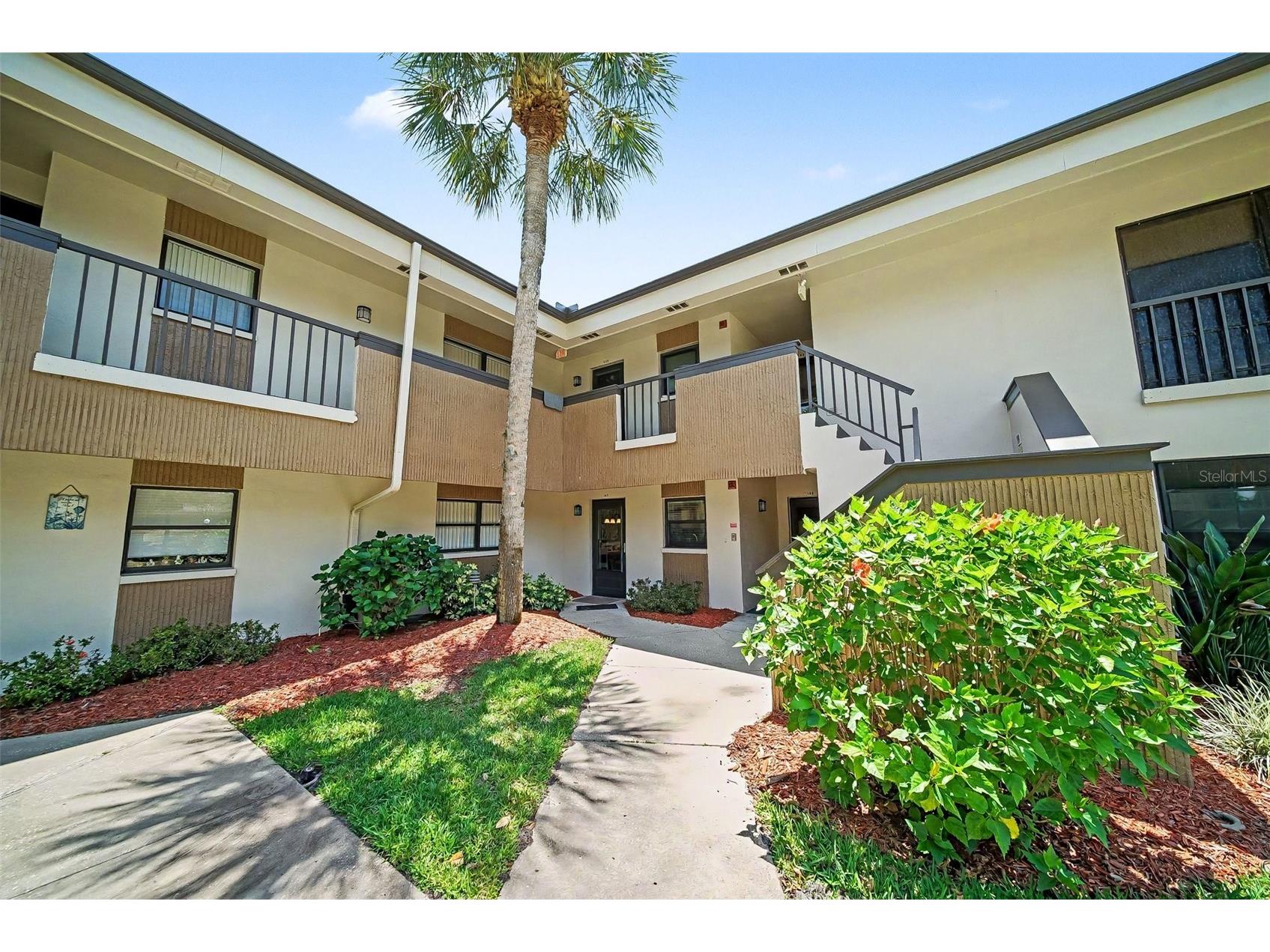2700 Nebraska Avenue #2-205 Palm Harbor FL 34684 TB8506955 image1