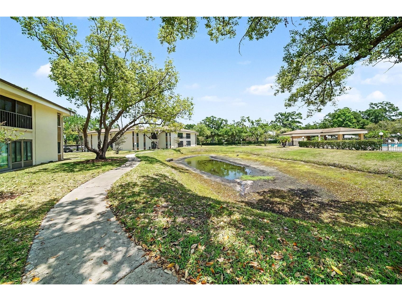 2700 Nebraska Avenue #2-205 Palm Harbor FL 34684 TB8506955 image22