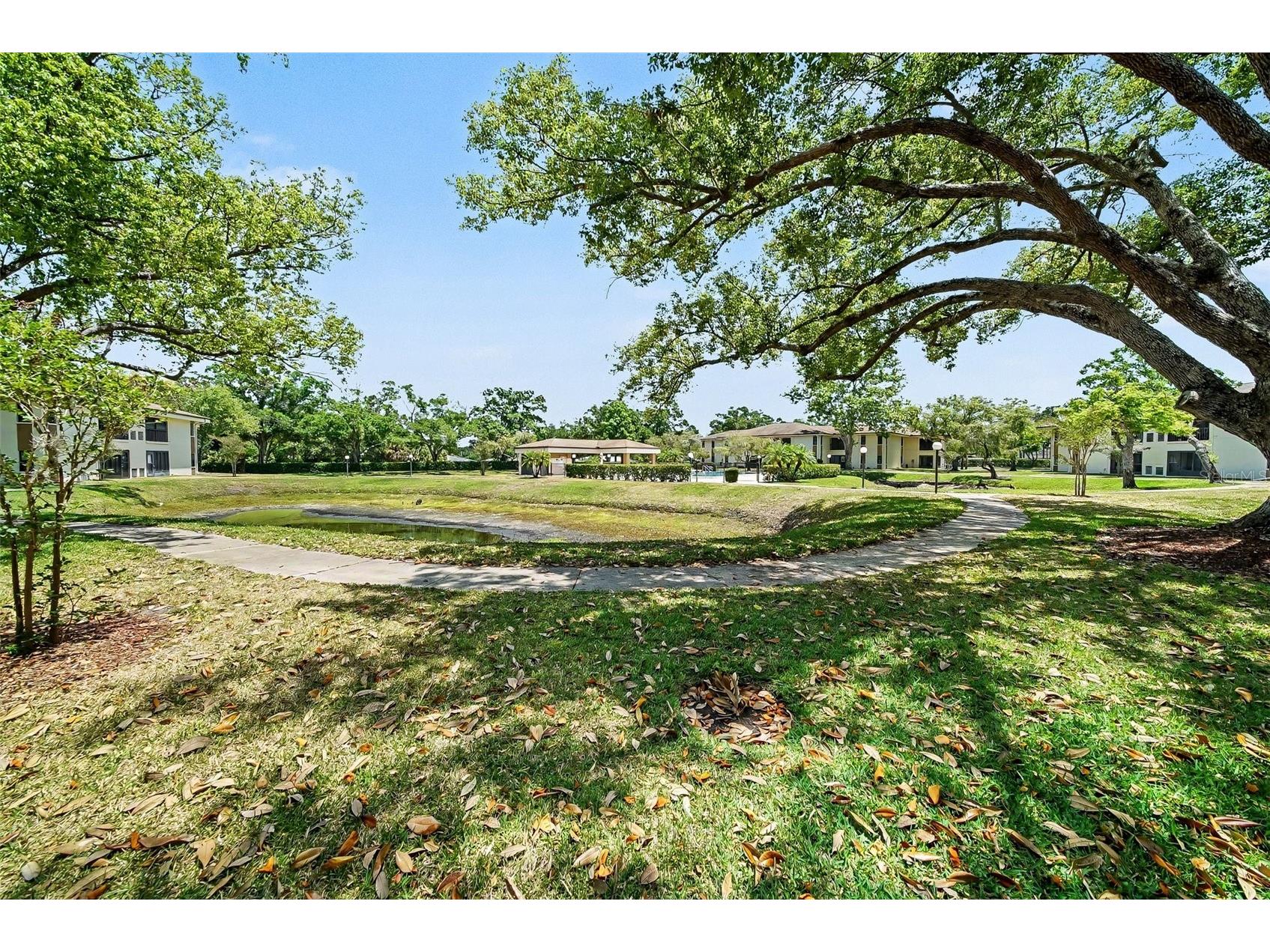 2700 Nebraska Avenue #2-205 Palm Harbor FL 34684 TB8506955 image26
