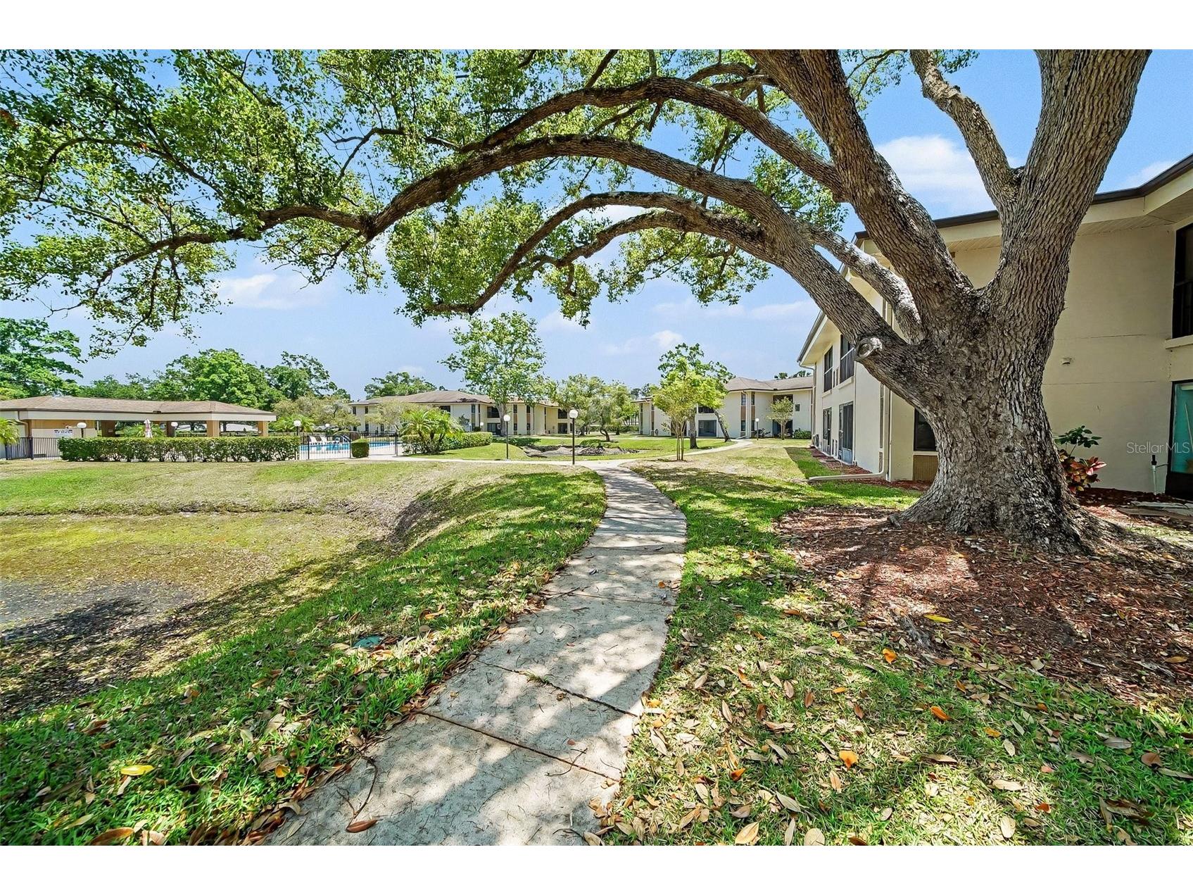2700 Nebraska Avenue #2-205 Palm Harbor FL 34684 TB8506955 image28