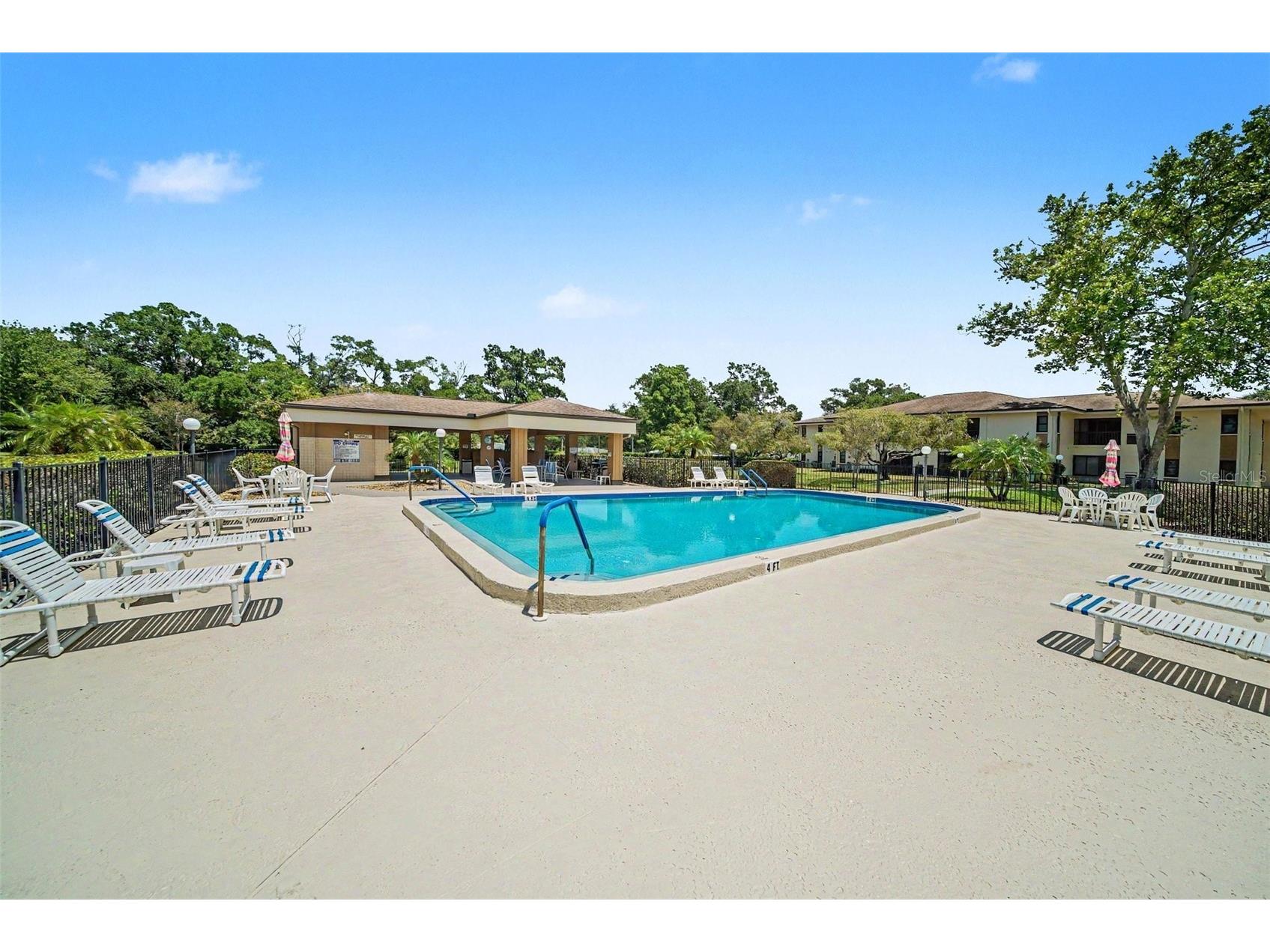 2700 Nebraska Avenue #2-205 Palm Harbor FL 34684 TB8506955 image31