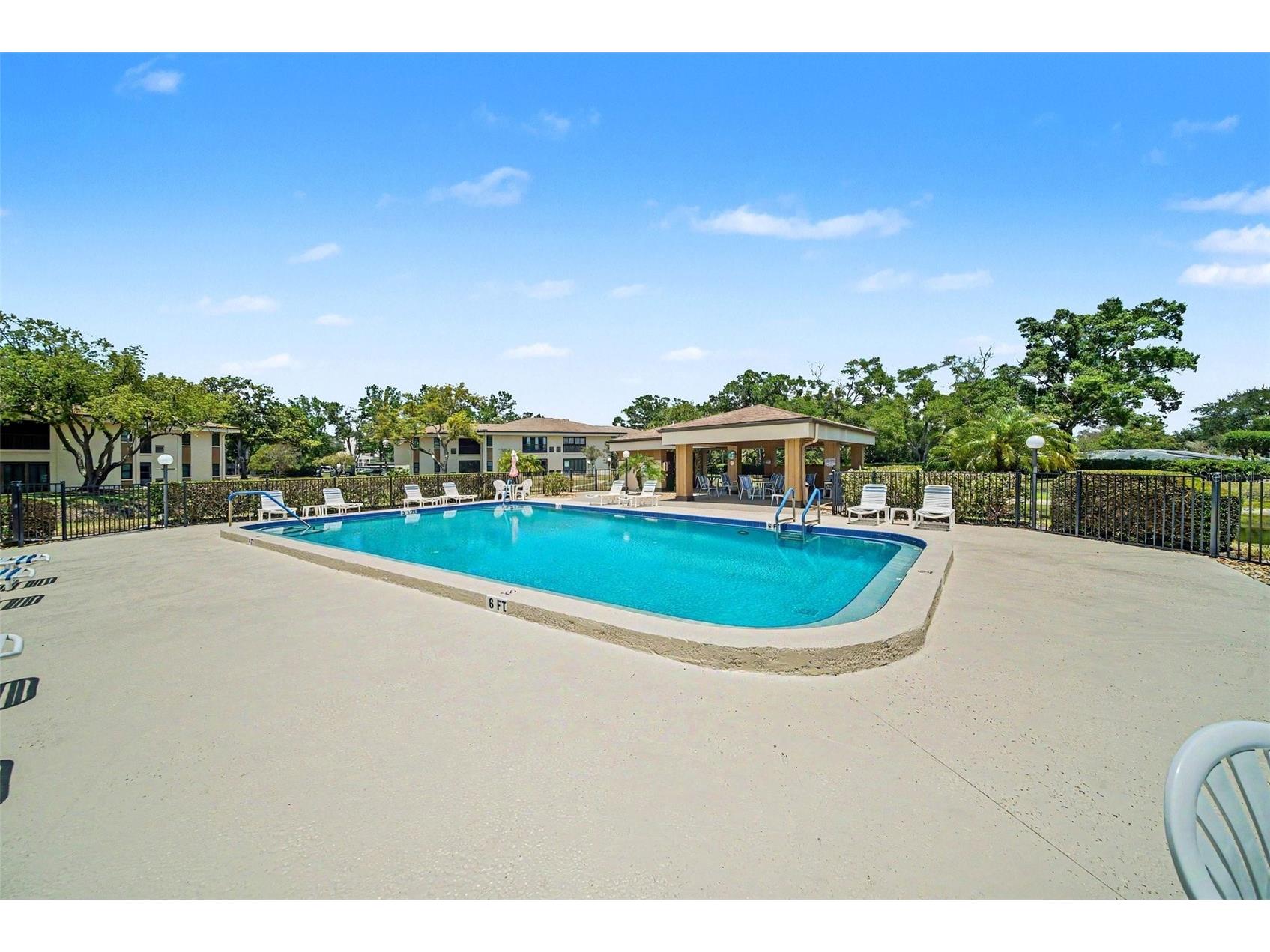 2700 Nebraska Avenue #2-205 Palm Harbor FL 34684 TB8506955 image32
