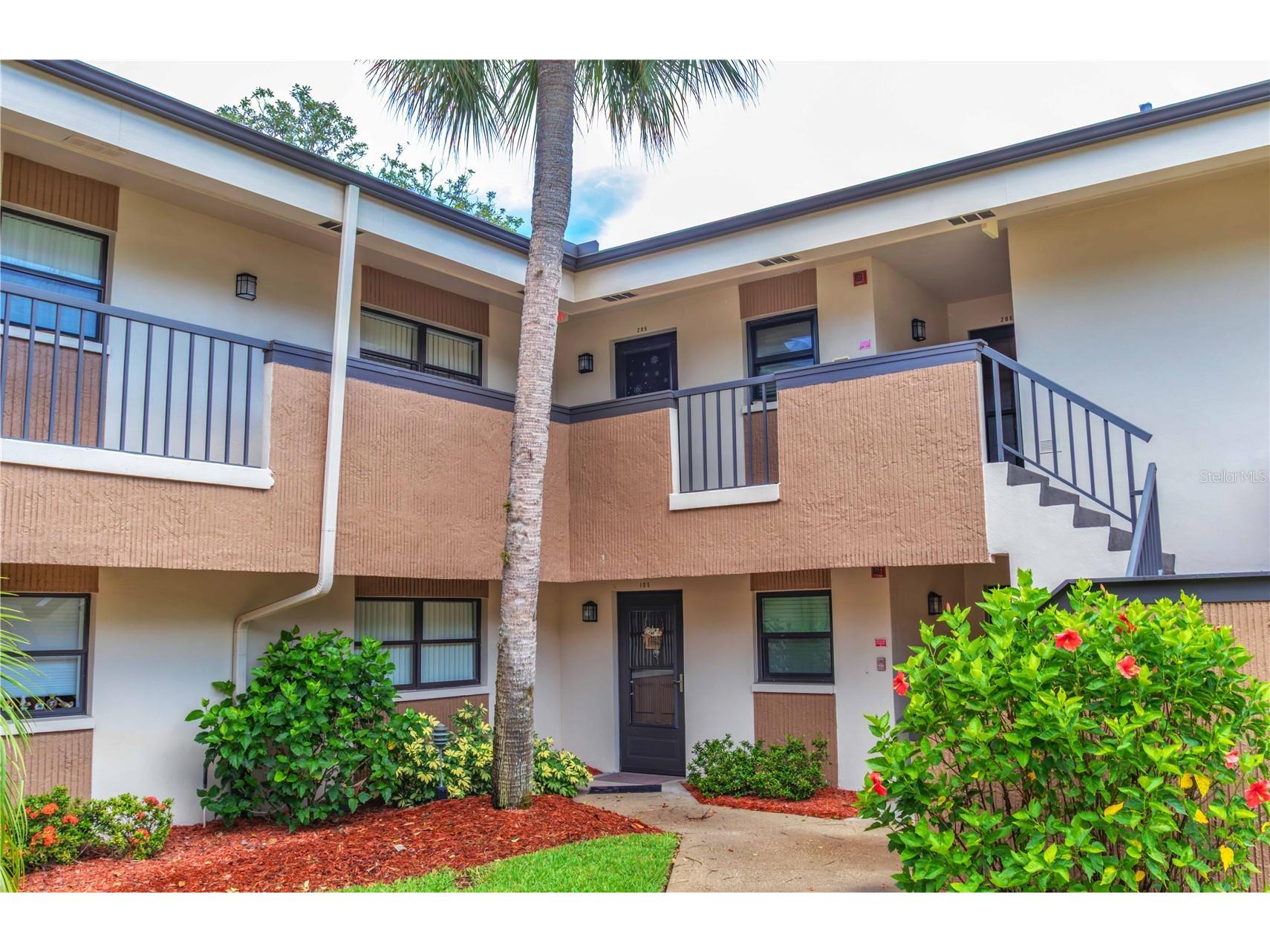 2700 Nebraska Avenue #2-205 Palm Harbor FL 34684 W7887566 image1