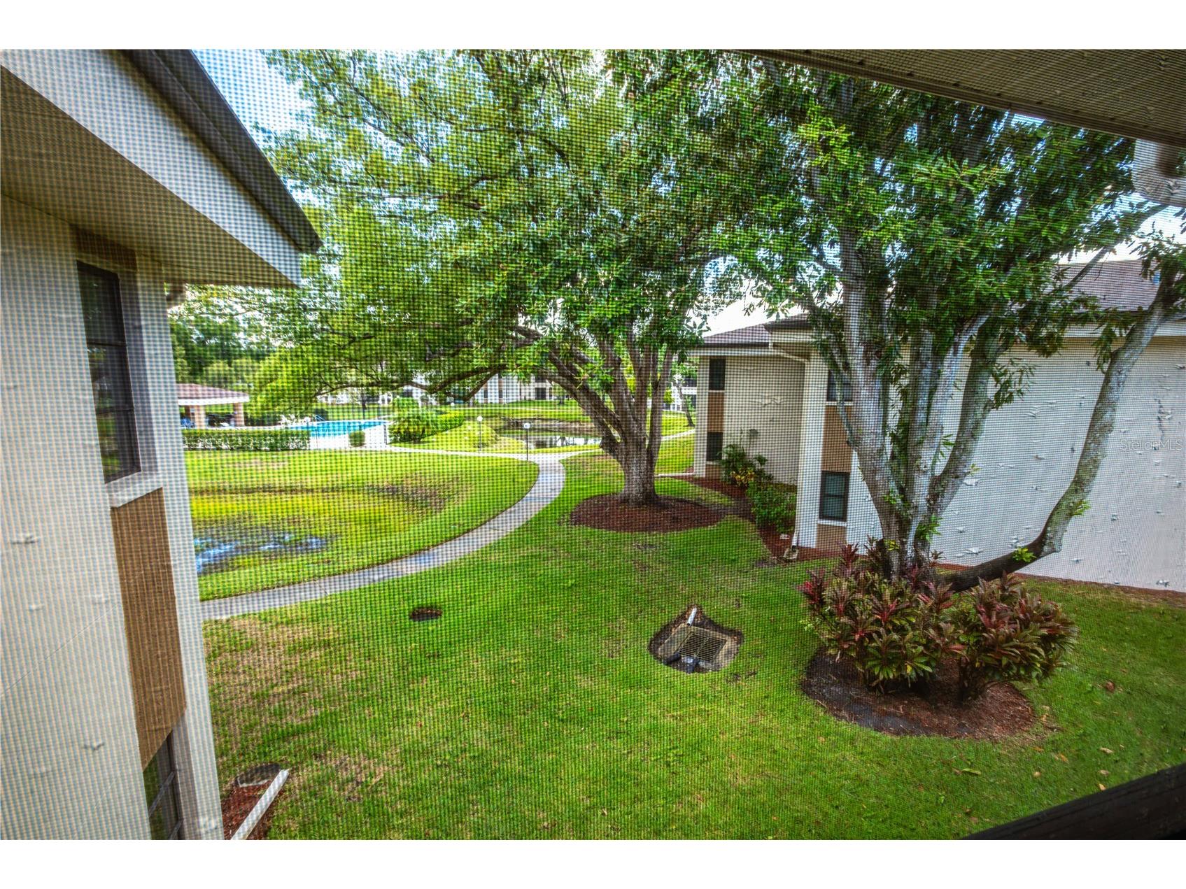 2700 Nebraska Avenue #2-205 Palm Harbor FL 34684 W7887566 image18