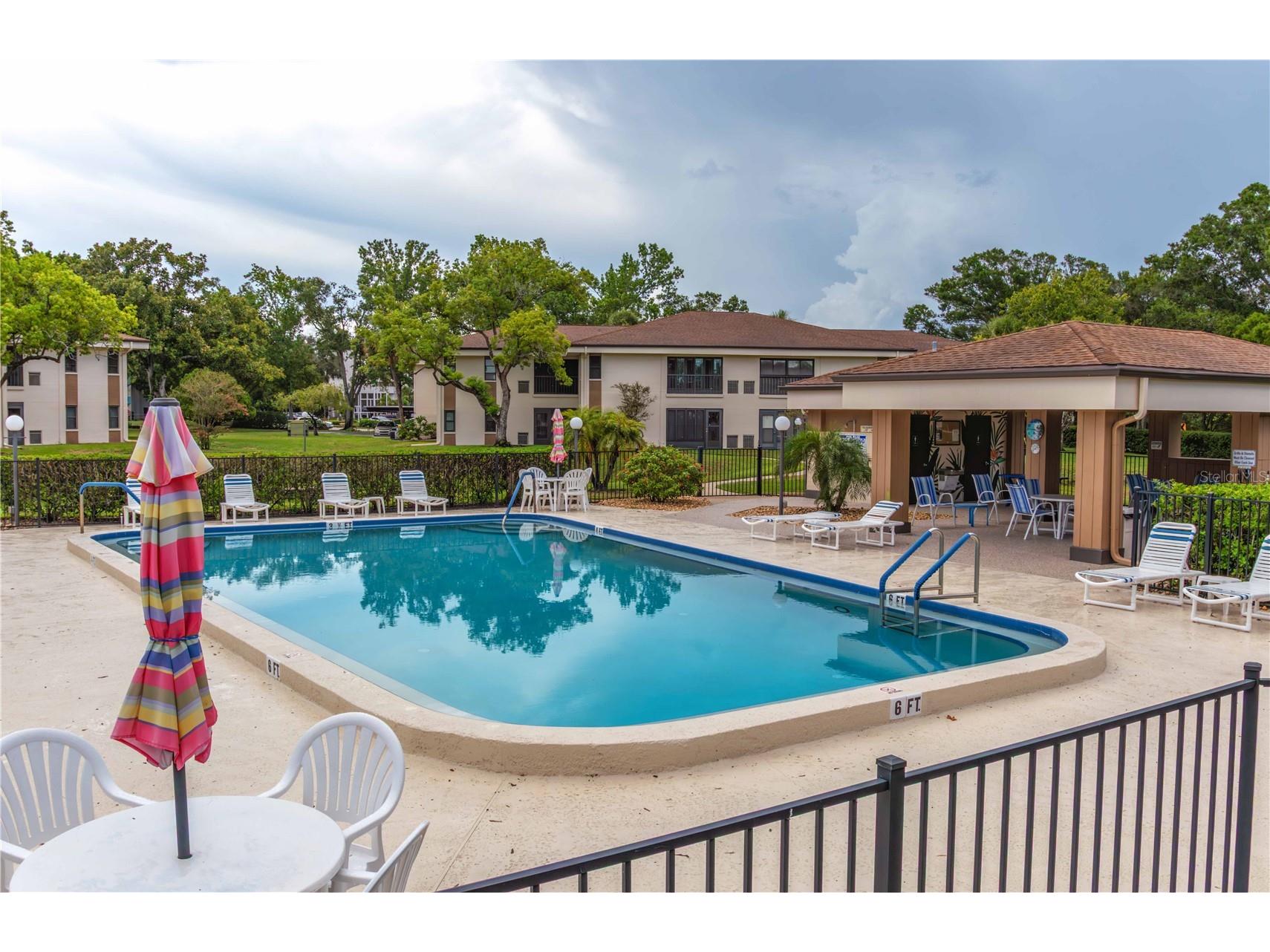 2700 Nebraska Avenue #2-205 Palm Harbor FL 34684 W7887566 image2