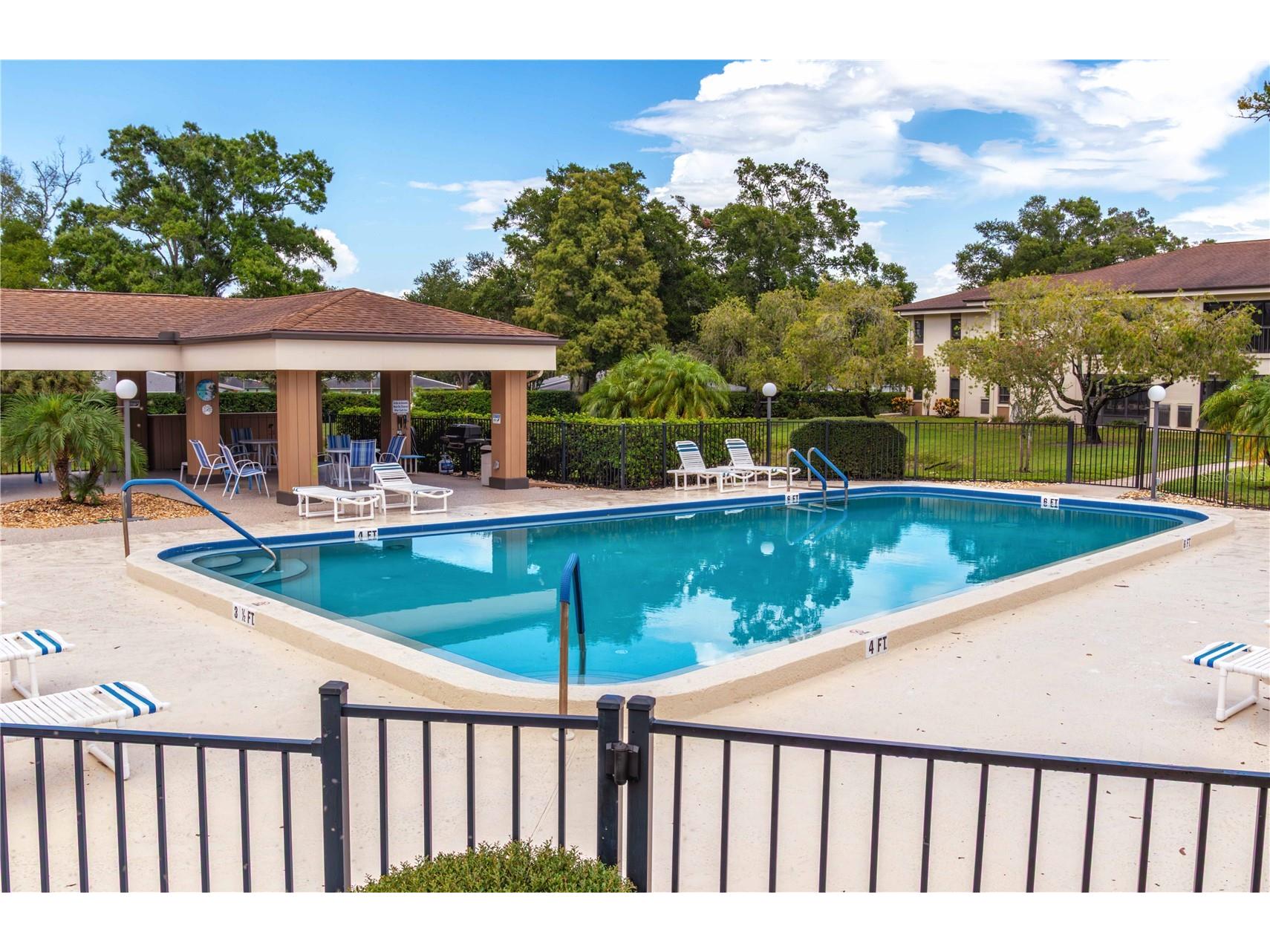 2700 Nebraska Avenue #2-205 Palm Harbor FL 34684 W7887566 image34