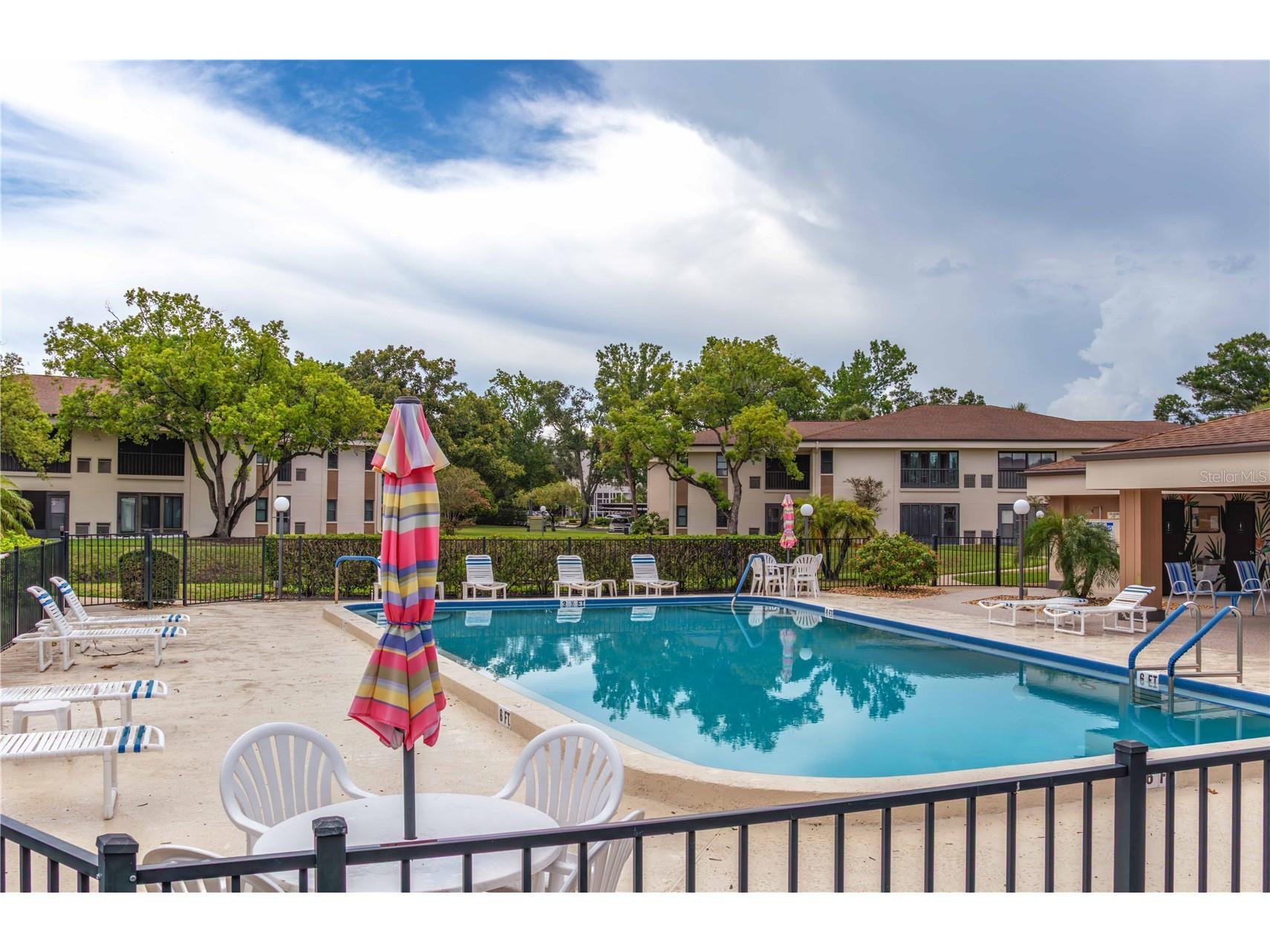 2700 Nebraska Avenue #2-205 Palm Harbor FL 34684 W7887566 image35