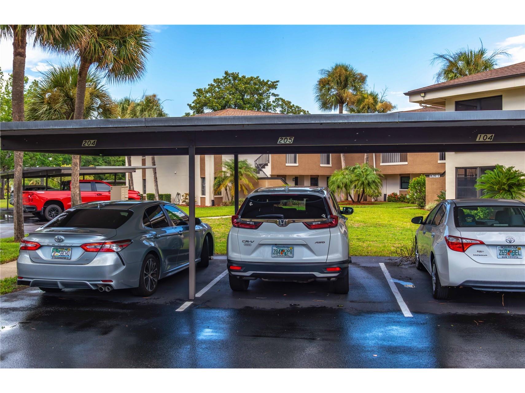 2700 Nebraska Avenue #2-205 Palm Harbor FL 34684 W7887566 image4