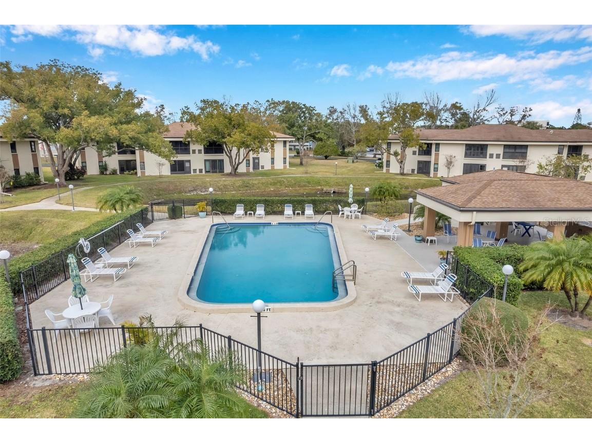 2700 Nebraska Avenue #3-201 Palm Harbor FL 34684 TB8445497 image41