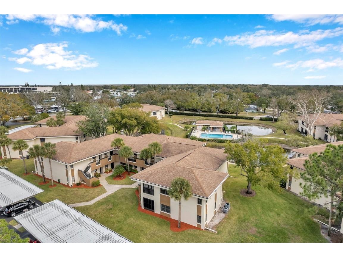 2700 Nebraska Avenue #3-201 Palm Harbor FL 34684 TB8445497 image47