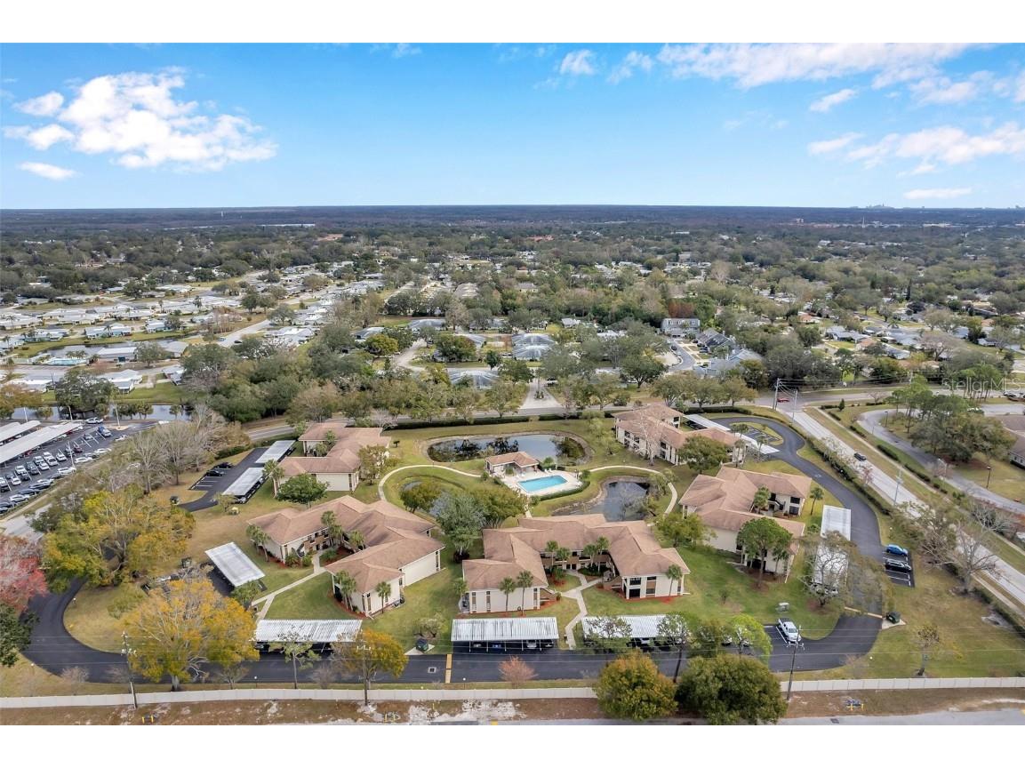 2700 Nebraska Avenue #3-201 Palm Harbor FL 34684 TB8445497 image50