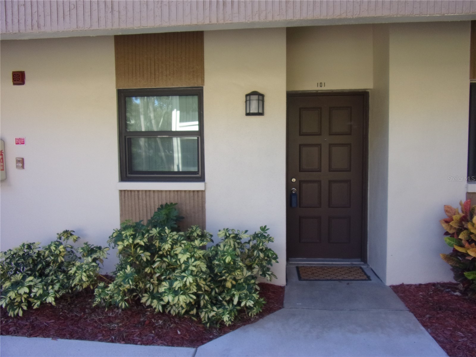 2700 Nebraska Avenue #5-101 Palm Harbor FL 34684 TB8437523 image1