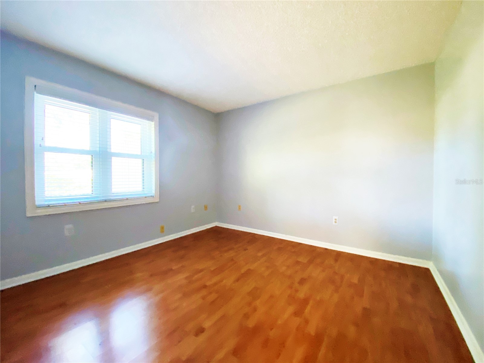 2700 Nebraska Avenue #5-105 Palm Harbor FL 34684 TB8511200 image19