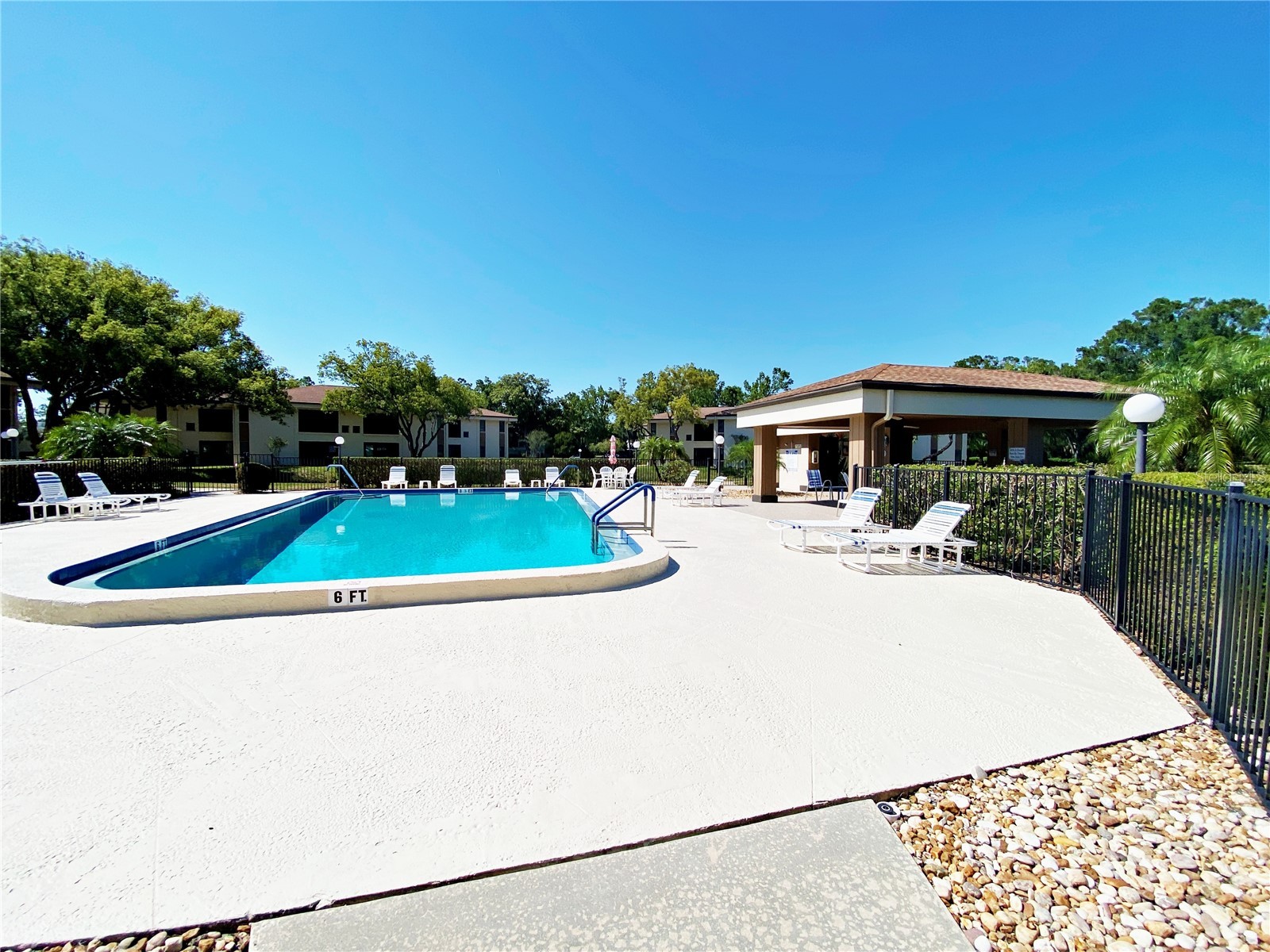 2700 Nebraska Avenue #5-105 Palm Harbor FL 34684 TB8511200 image26
