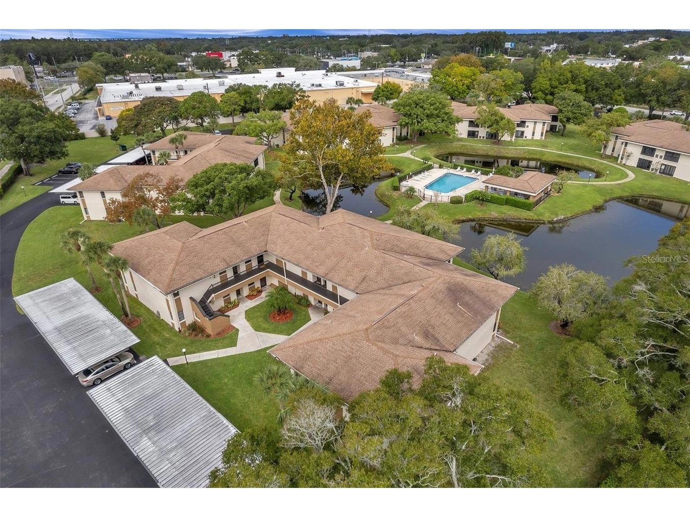 2700 Nebraska Avenue #5-203 Palm Harbor FL 34684 TB8522554 image18