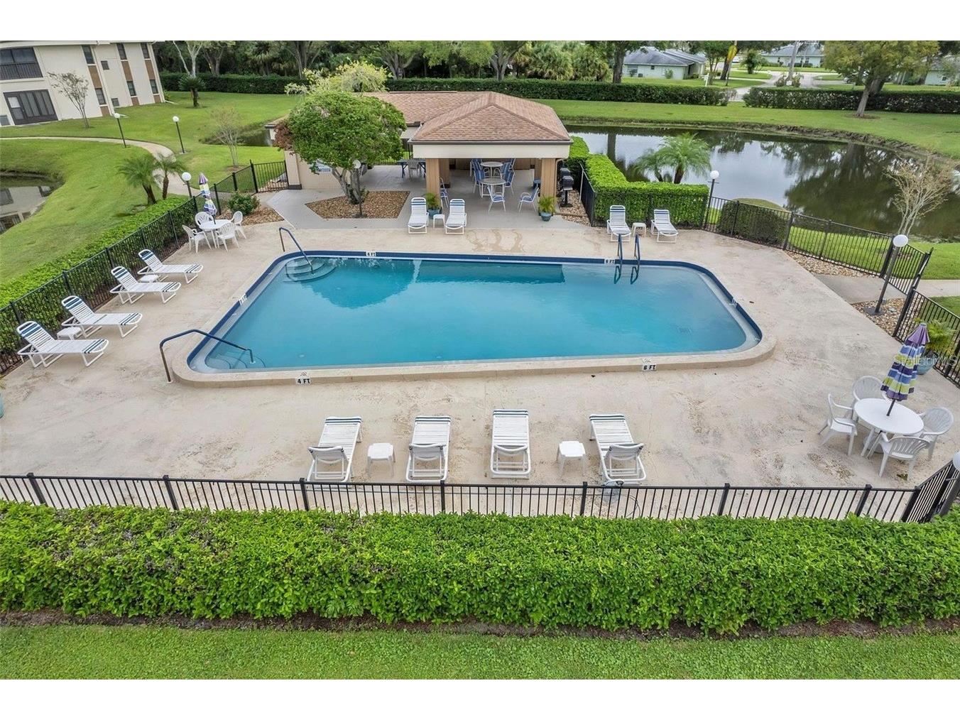 2700 Nebraska Avenue #5-203 Palm Harbor FL 34684 TB8522554 image19