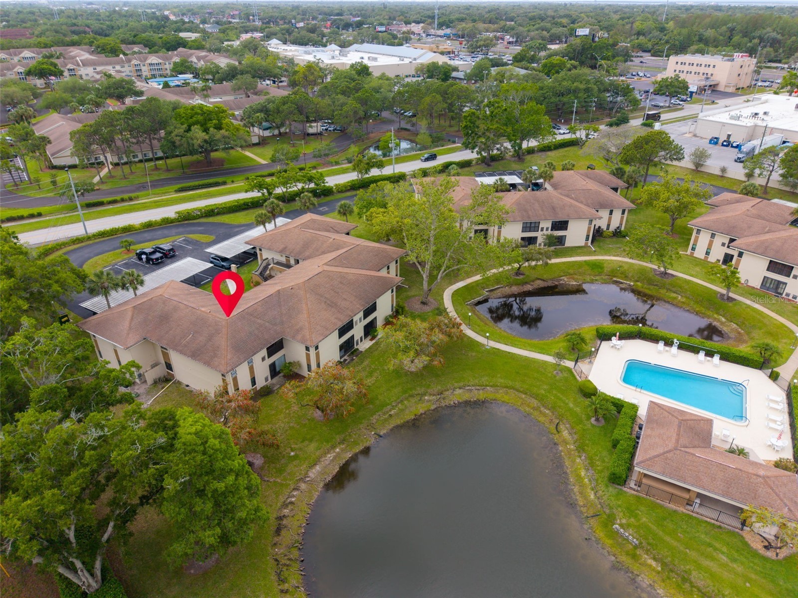 2700 Nebraska Avenue #5-205 Palm Harbor FL 34684 - LAKE TARPON TB8496158 image2