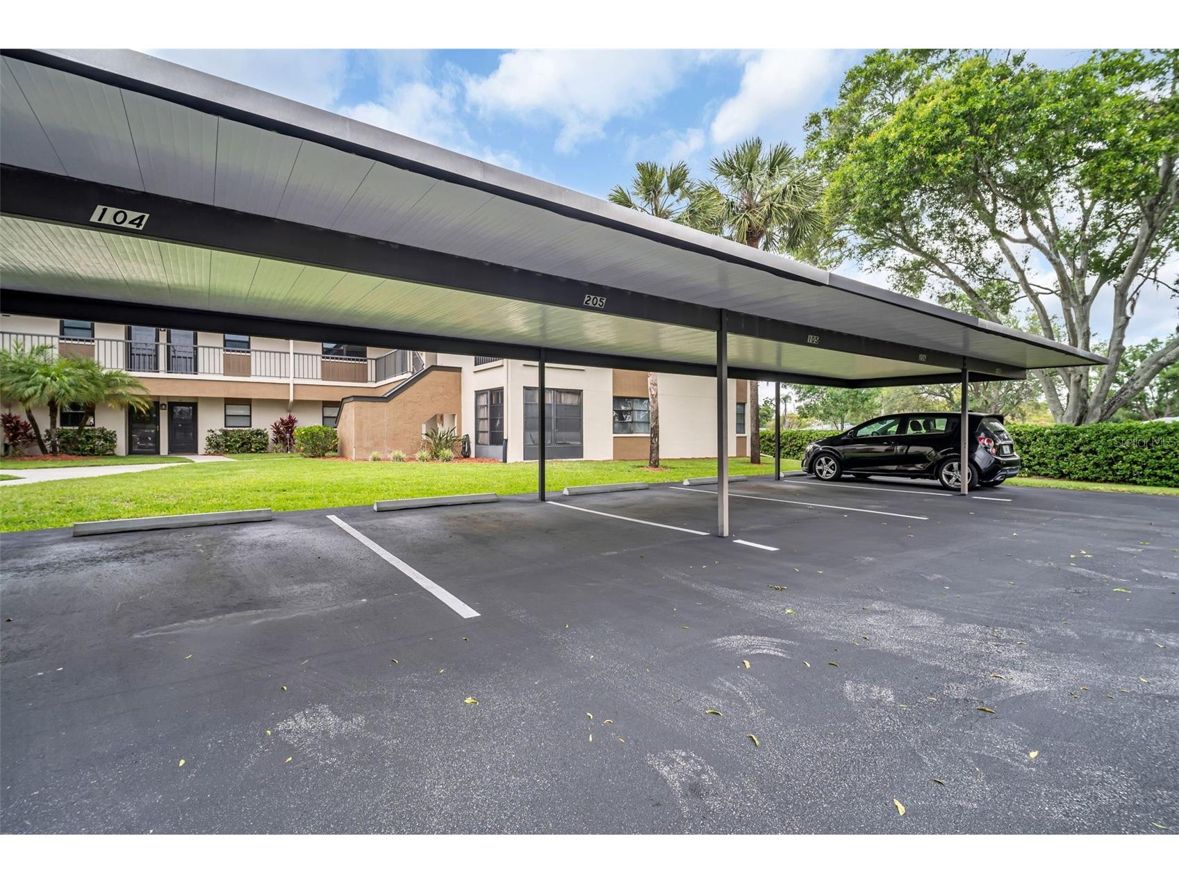 2700 Nebraska Avenue #5-205 Palm Harbor FL 34684 - LAKE TARPON TB8496158 image27