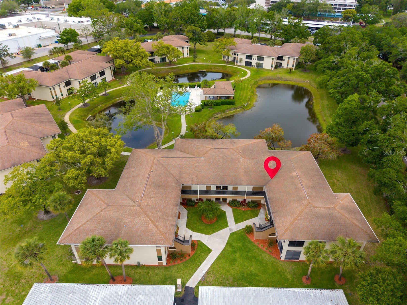 2700 Nebraska Avenue #5-205 Palm Harbor FL 34684 - LAKE TARPON TB8496158 image28