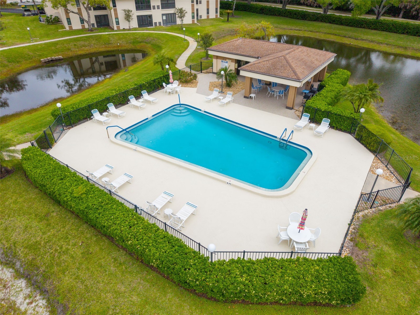 2700 Nebraska Avenue #5-205 Palm Harbor FL 34684 - LAKE TARPON TB8496158 image29