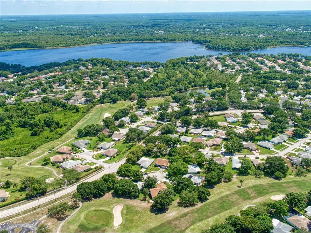 2700 Nebraska Avenue #5-205 Palm Harbor FL 34684 - LAKE TARPON TB8496158 image42