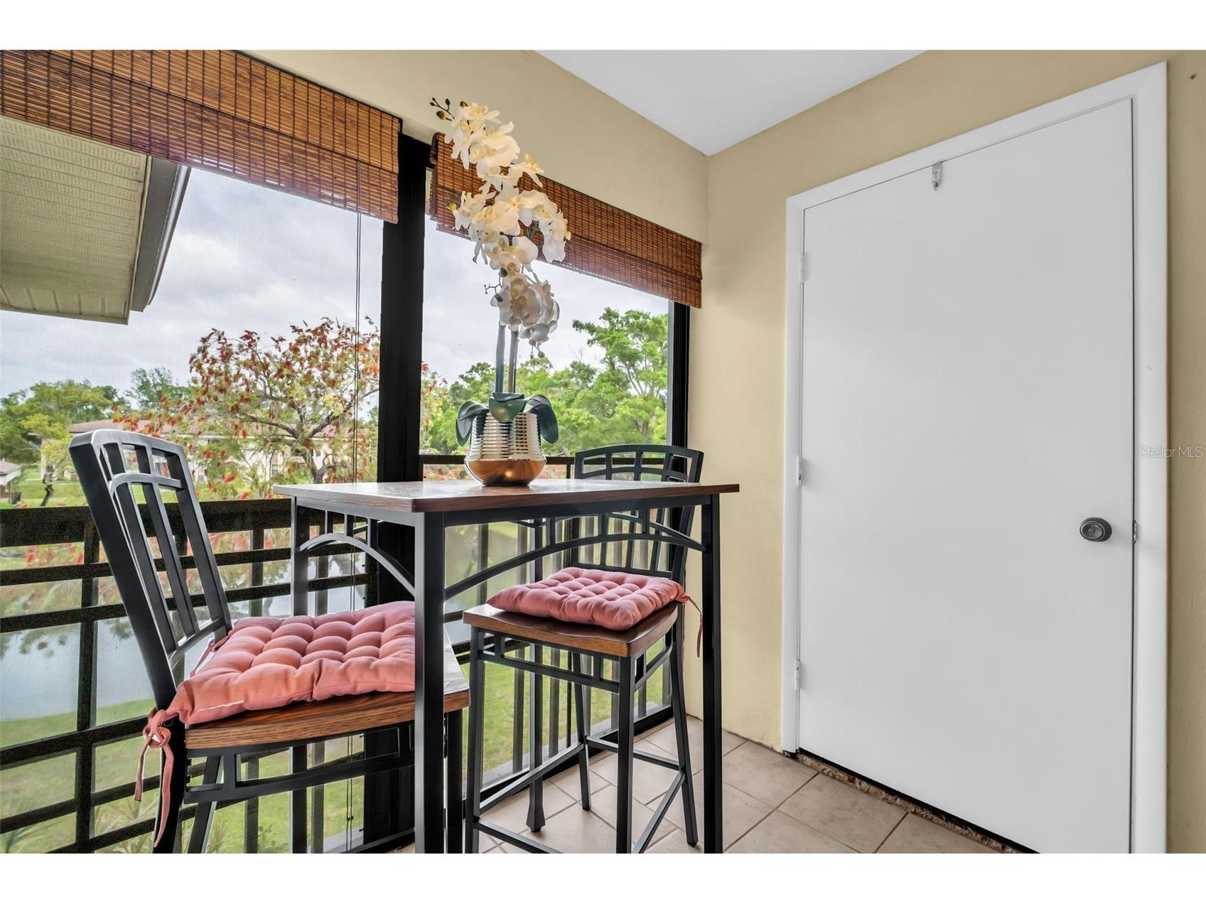 2700 Nebraska Avenue #5-205 Palm Harbor FL 34684 - LAKE TARPON TB8496158 image7