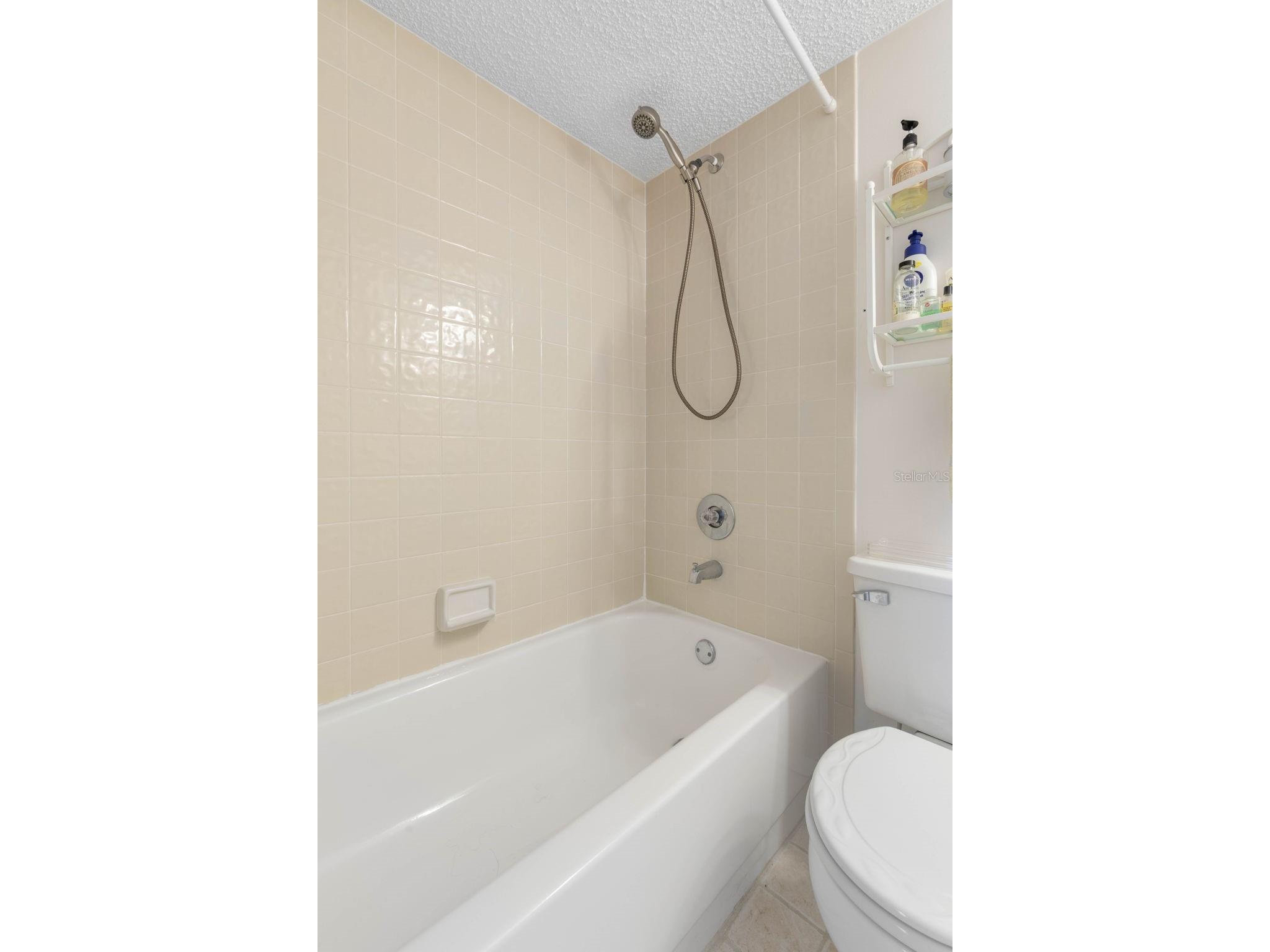 2700 Ocean Shore Boulevard #316 Ormond Beach FL 32176 FC318215 image10