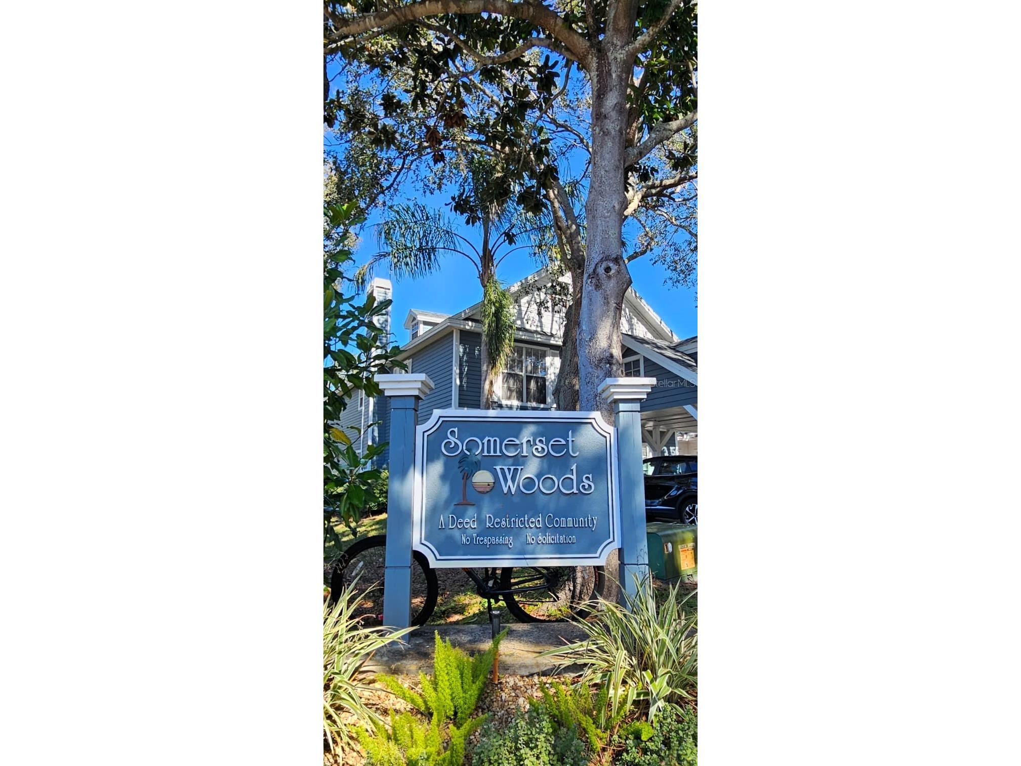 2700 Penzance Street Palm Harbor FL 34684 TB8484690 image3