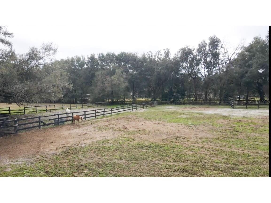 2700 SE 157th Lane Road Summerfield FL 34491 OM716317 image8