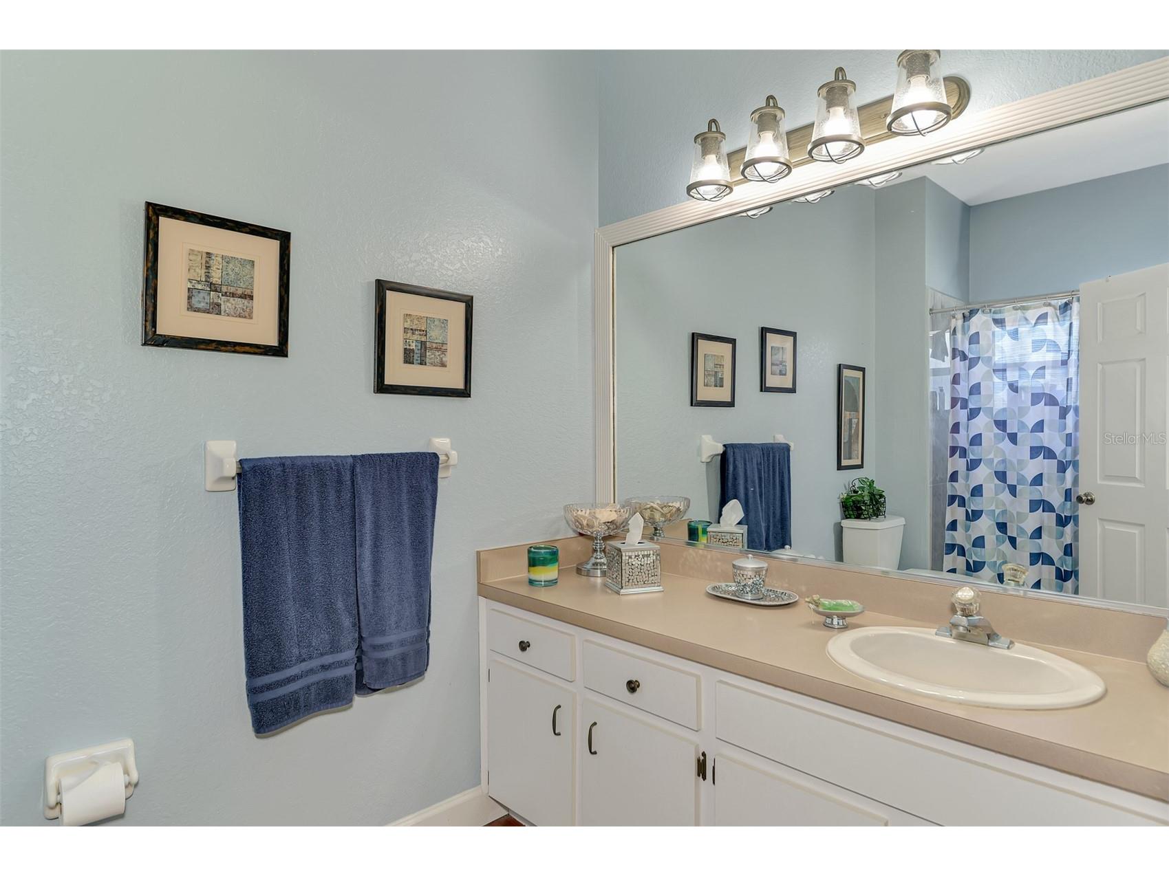 2700 Verna Bethany Myakka City FL 34251 A4690570 image29