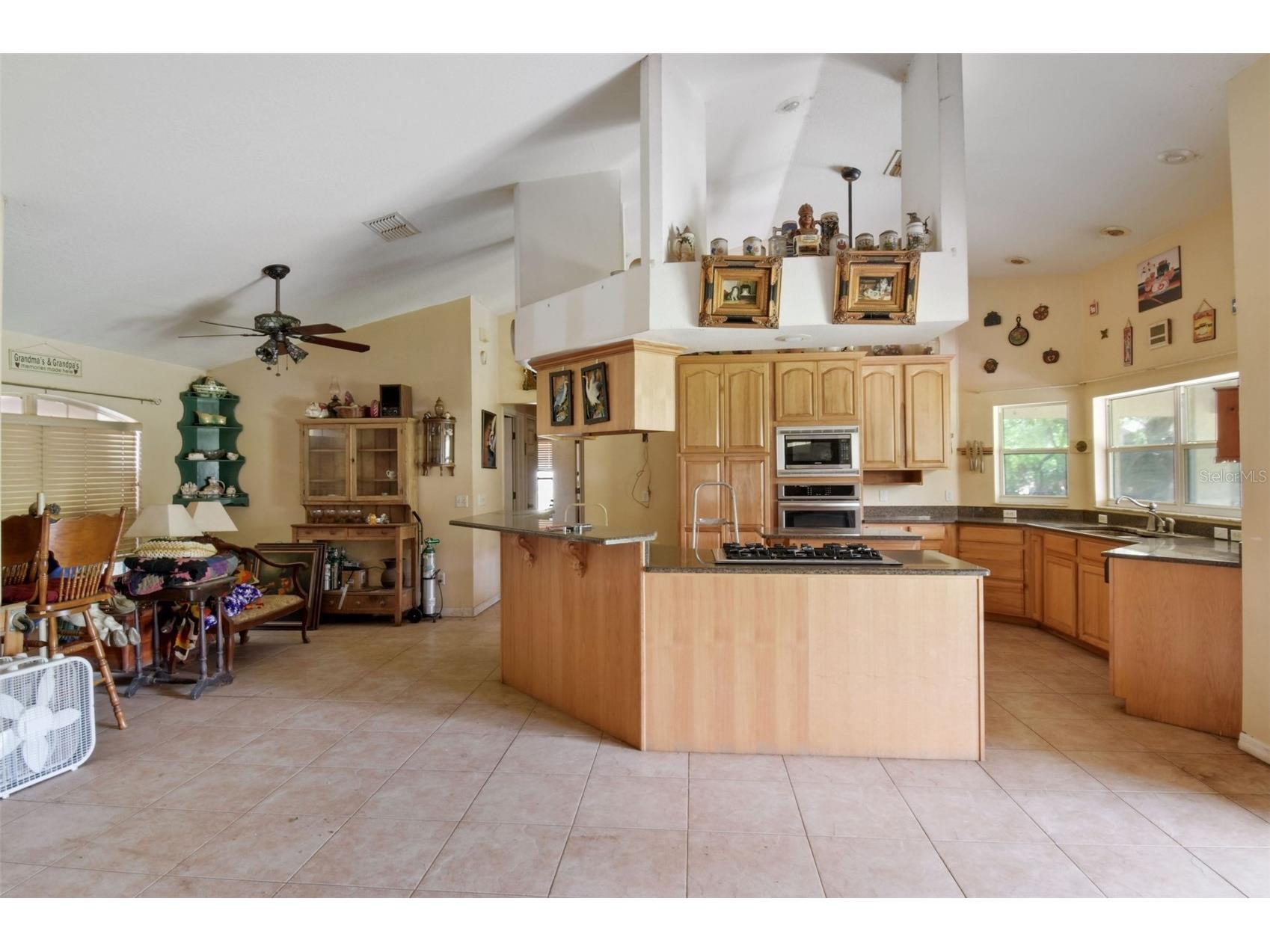 2700 Waccassa Street Geneva FL 32732 - LAKE HARNEY NEARBY TB8493809 image4