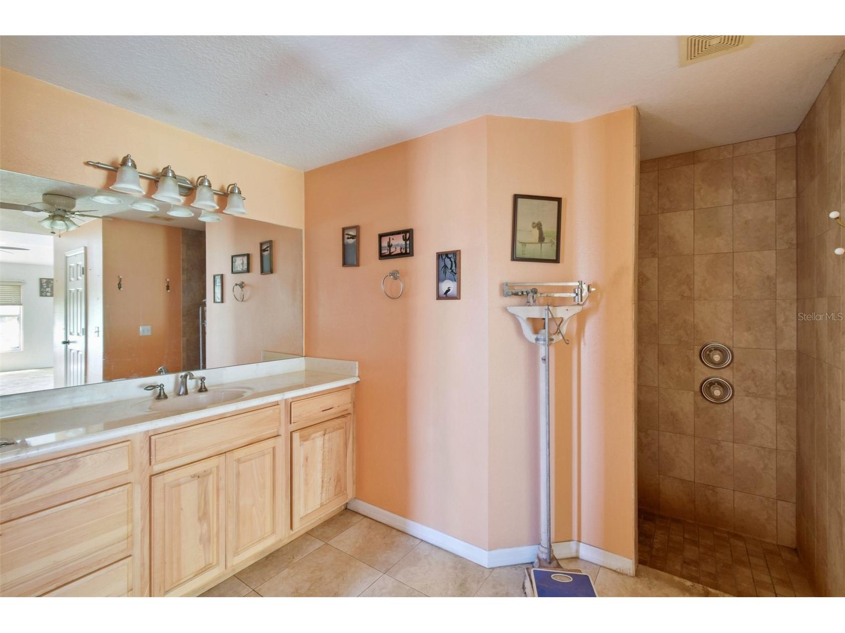 2700 Waccassa Street Geneva FL 32732 - LAKE HARNEY NEARBY TB8493809 image6