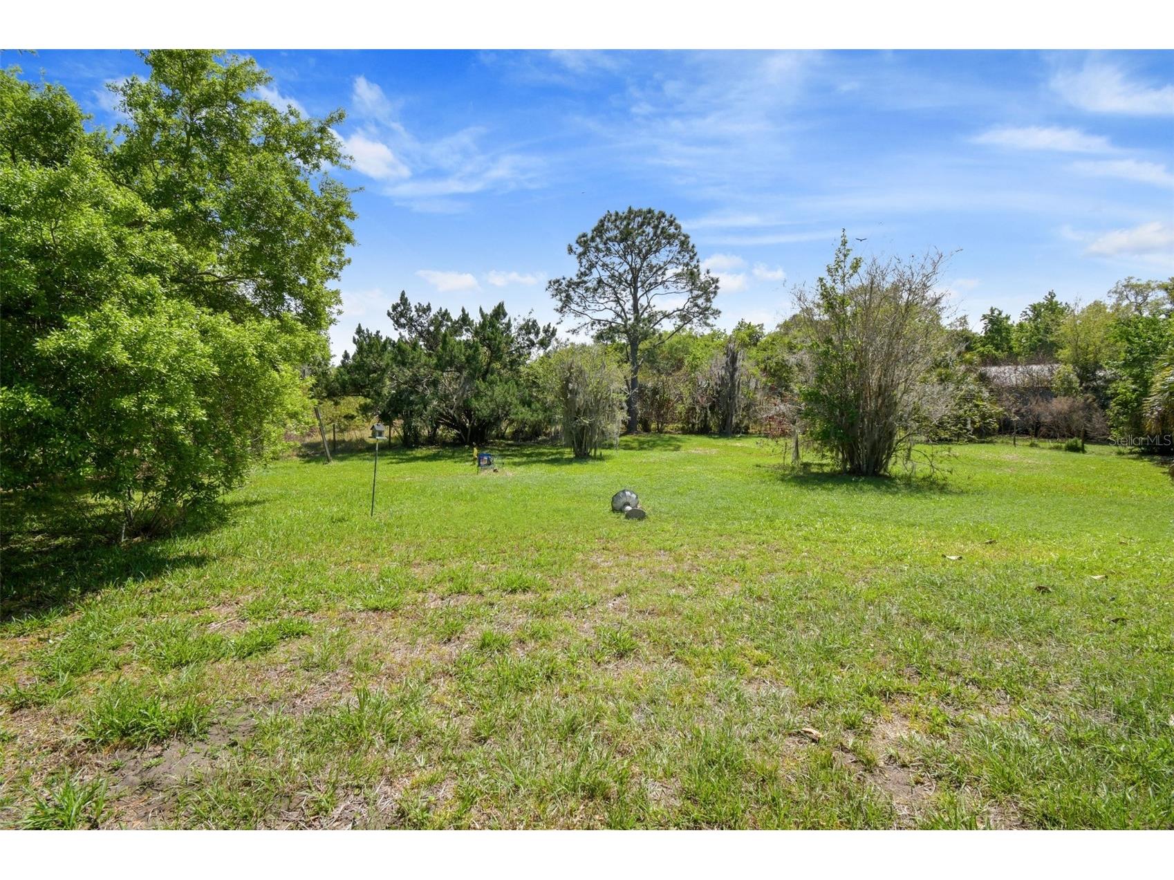 2700 Waccassa Street Geneva FL 32732 - LAKE HARNEY NEARBY TB8493809 image9