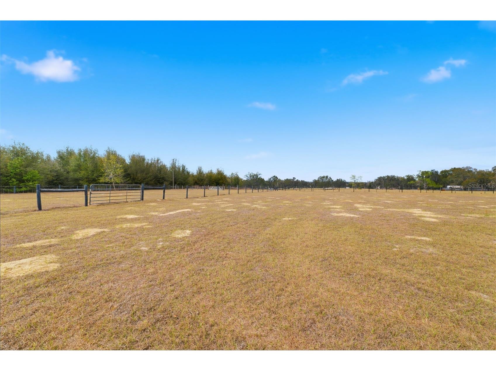 27001 Baxter Street Brooksville FL 34602 W7883144 image22